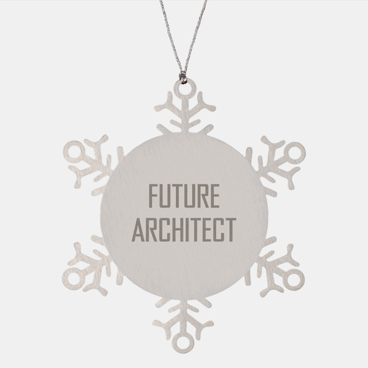 Funny Snowflake Ornament Gifts from Men to Future Architect, Perfect for Christmas - Image 1