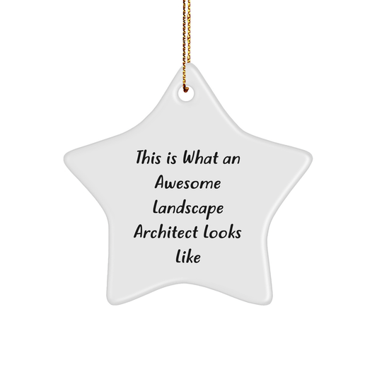 Funny Landscape Architect Gifts from Friends for Christmas - Star Ornament Quote This Is What An Awesome Landscape Architect Looks Like - Image 1