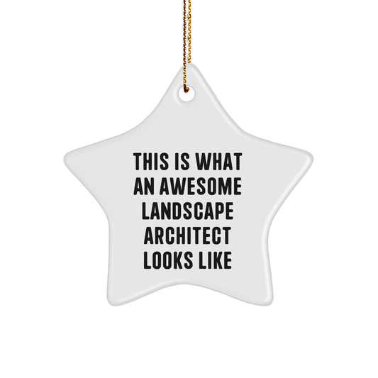 Landscape Architect Gifts from Friends - Star Ornament for Christmas - This Is What An Awesome Landscape Architect Looks Like - Image 1