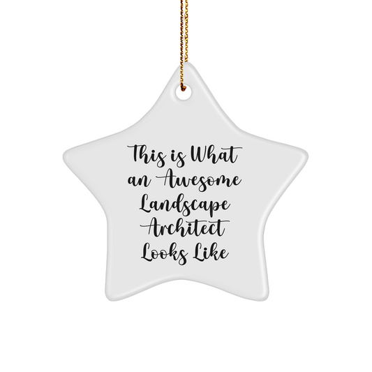 Funny Landscape Architect Gifts from - This Is What An Awesome Landscape Architect Looks Like Star Ornament for Christmas - Image 1