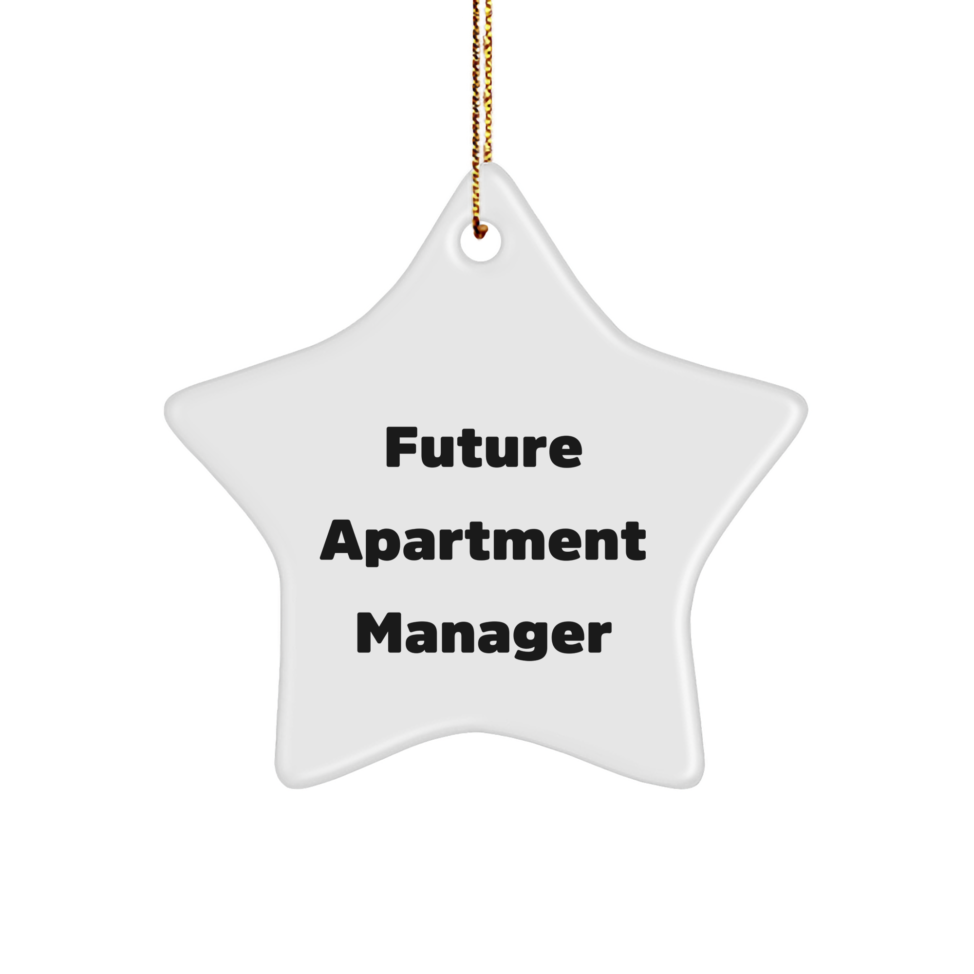 Funny Future Apartment Manager Christmas Star Ornament Gifts from Friends for Apartment Managers, Inspirational Quote Inside, Unique Holiday Decor