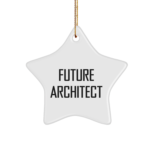 Future Architect Star Ornament, Funny Gift for Him, 'Why Architecture is my Superpower' Quote, Christmas Decorations, Gifts from Family - Image 1