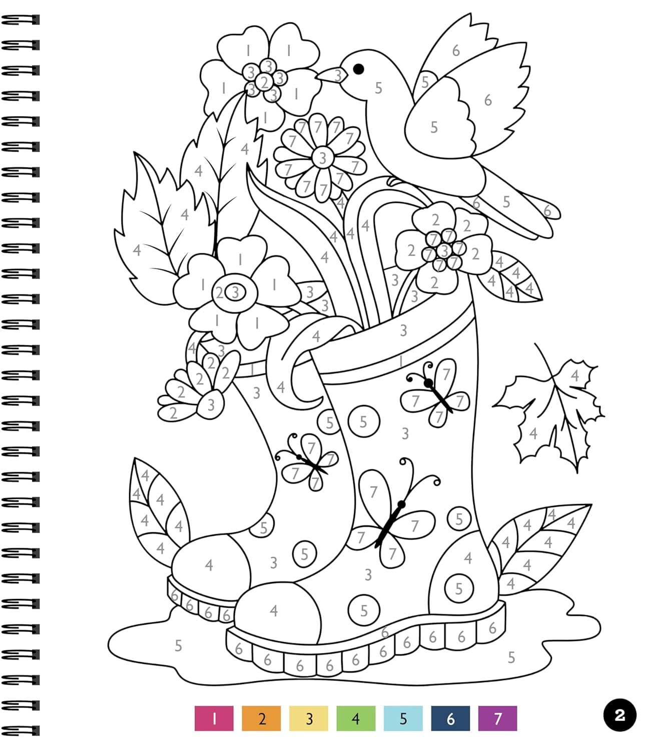 Brain Games - Color by Number - Large Print: Garden