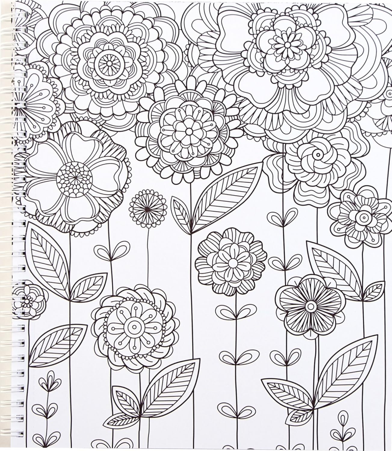 Color & Frame - Nature (Adult Coloring Book)