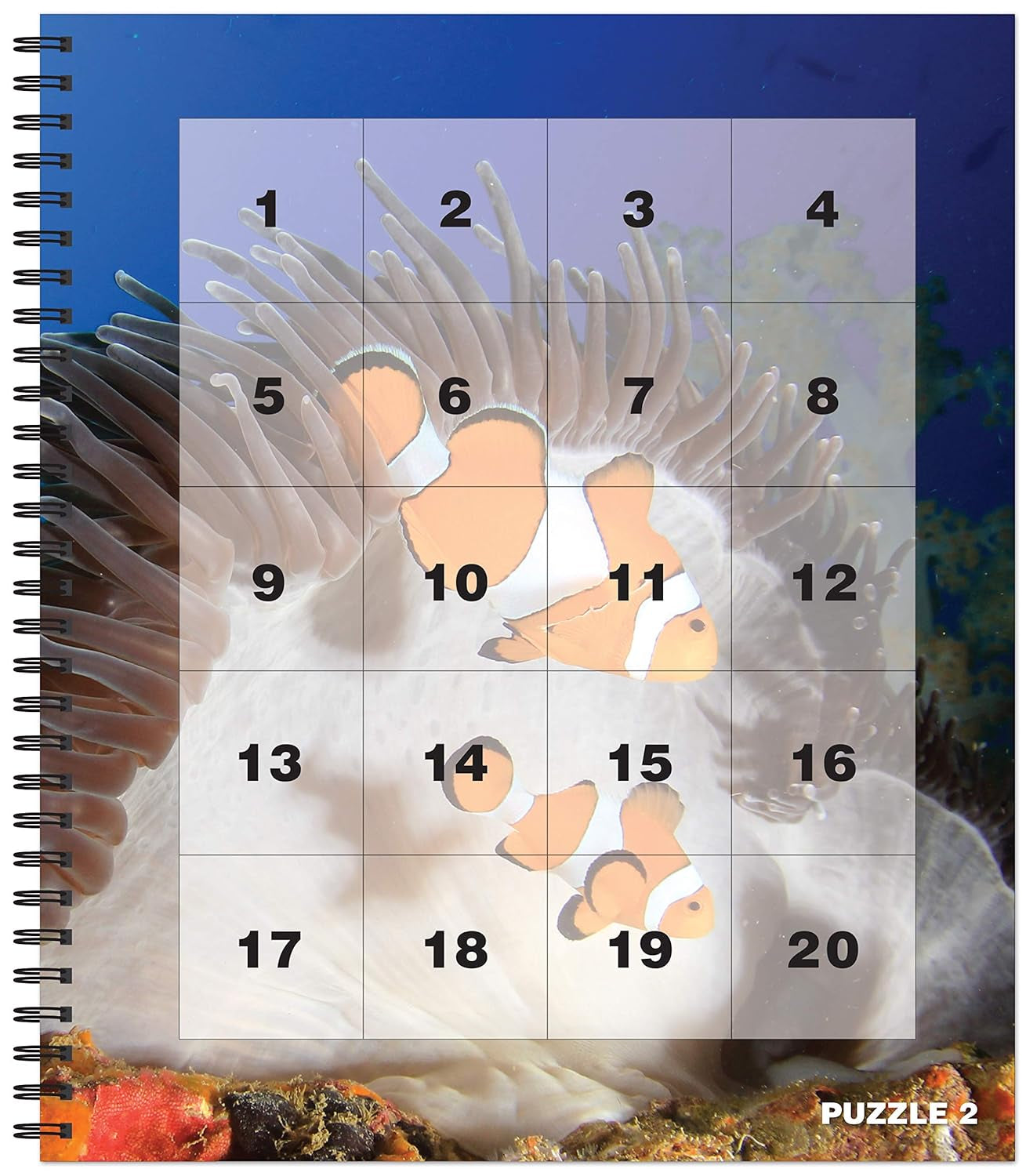 Brain Games - Sticker by Number: Ocean Life (Easy - Square Stickers): Create Beautiful Art with Easy to Use Sticker Fun!