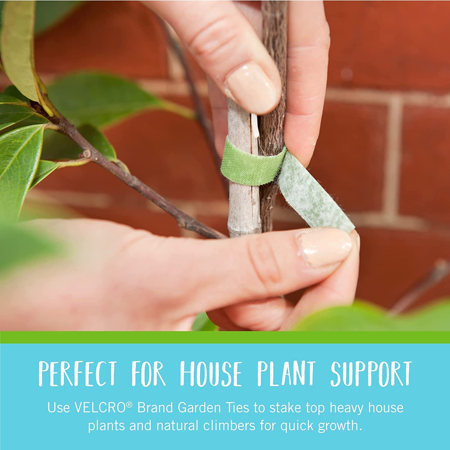 VELCRO Brand VEL-30071-USA ONE-WRAP Garden Ties | Plant Supports for Effective Growing | Strong Grips Are Reusable and Adjustable | Cut-To-Length, 50 Ft X 1/2 In, Green-Recycled Plastic