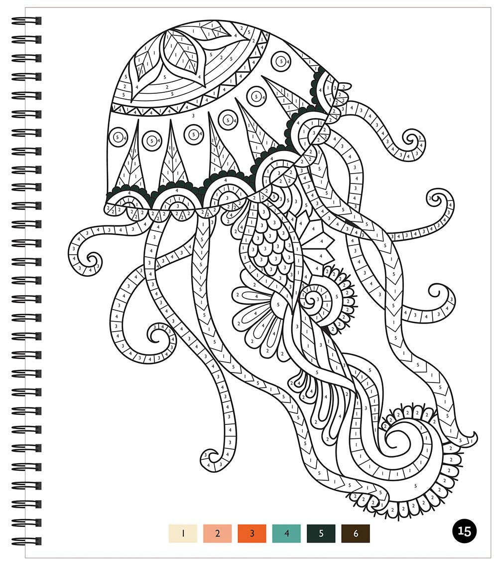 Brain Games - Color by Number: Stress-Free Coloring (Pink)