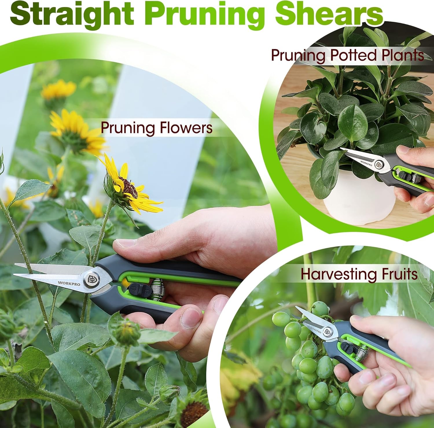 WORKPRO Garden Pruning Shears 2 Pack, 8" Bypass Pruning Shears and 6.25" Straight Garden Scissors, Premium Plant Shears, Garden Clippers Hand Tools for Cutting Flowers, Trimming Plants, Picking Fruits
