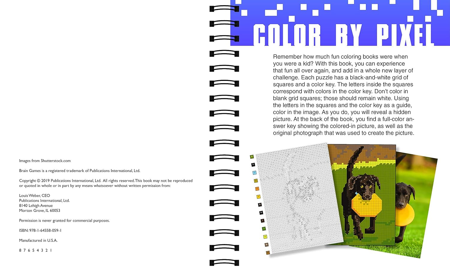 Brain Games - Pixel Pictures: 104 Pictures to Color by Squares