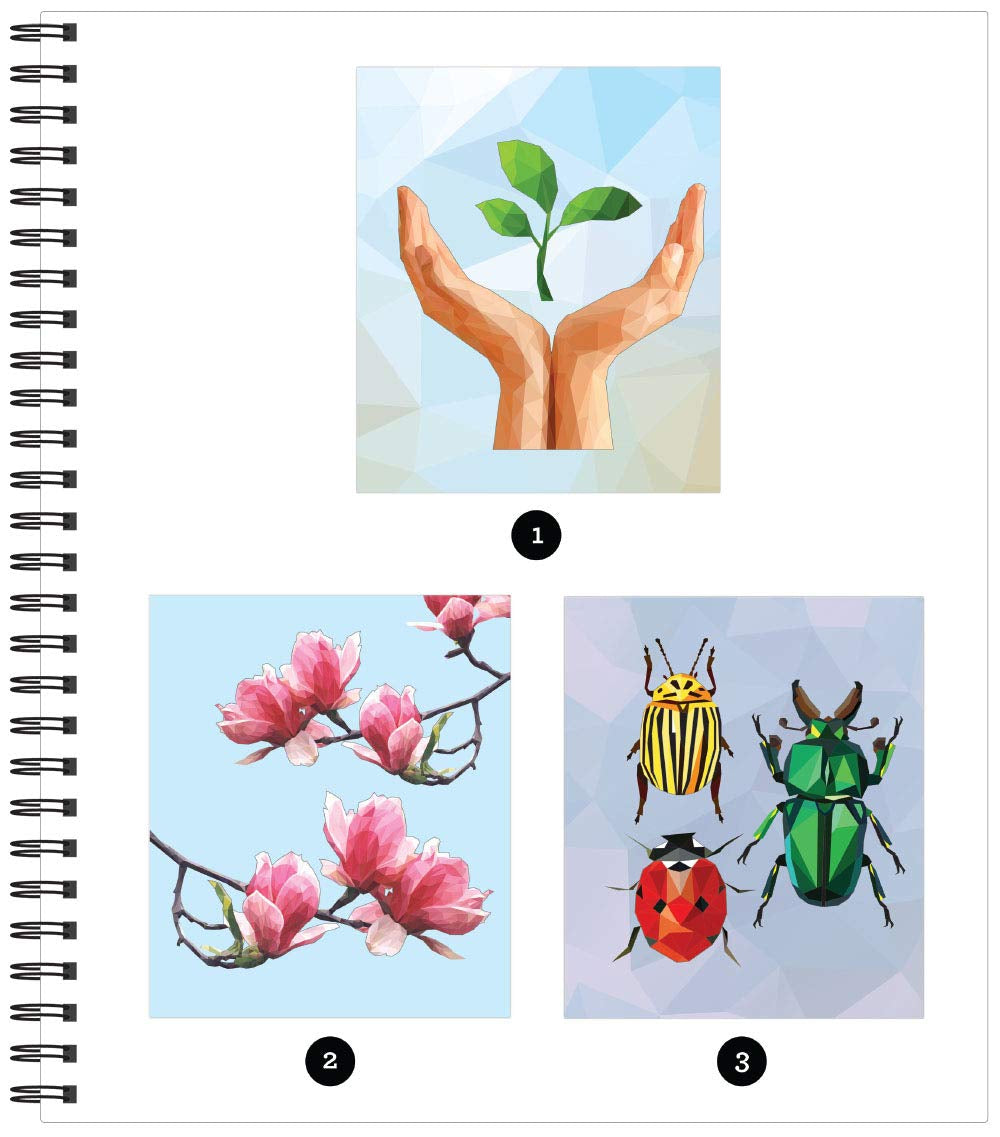 Brain Games - Sticker by Number: Country Garden (13 Images to Sticker)