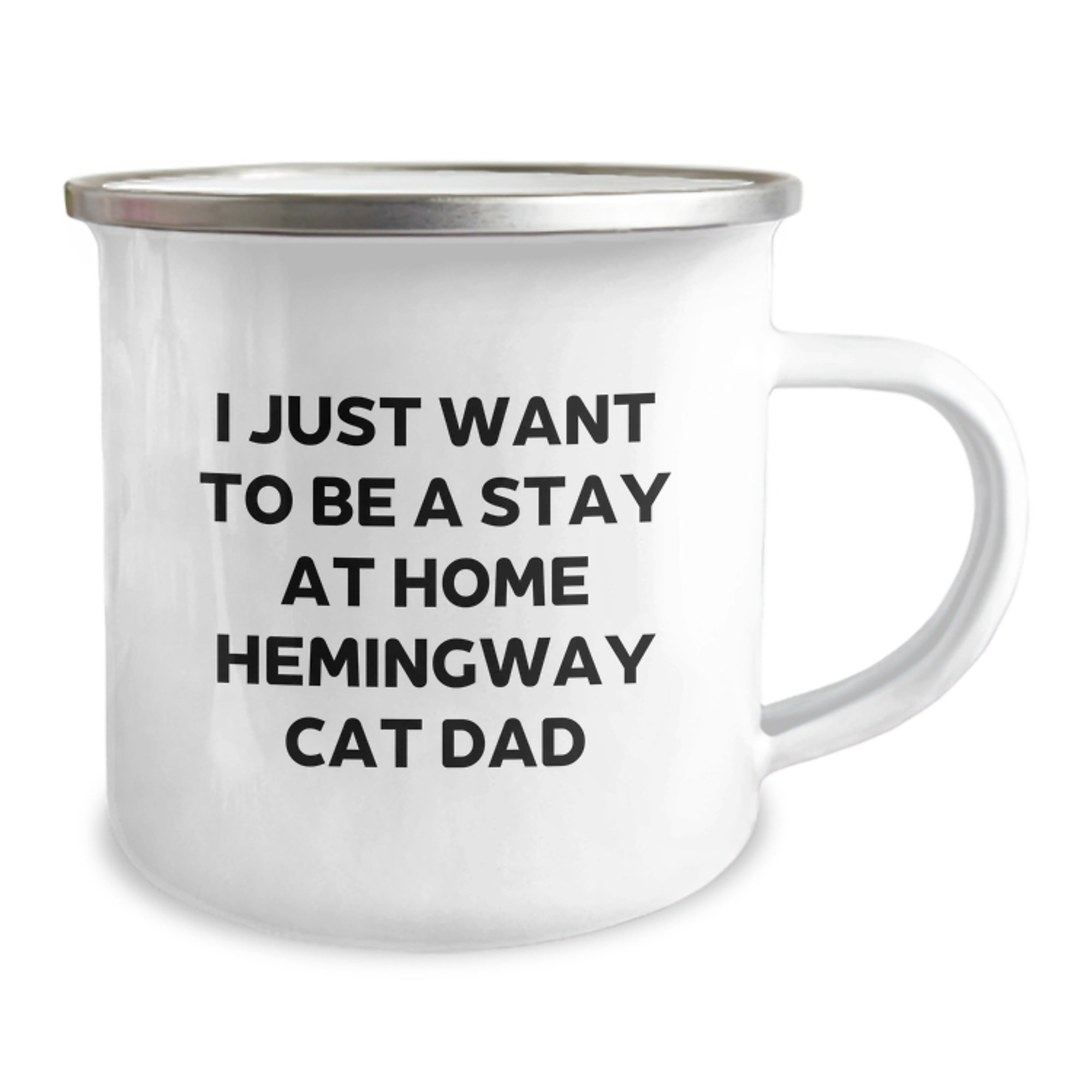 Funny Hemingway Cat Gifts for Men, Birthday Unique Gifts from Friends, Camping Mug for Dad with 'I Just Want To Be A Stay At Home Hemingway Cat Dad' Quote - Image 2