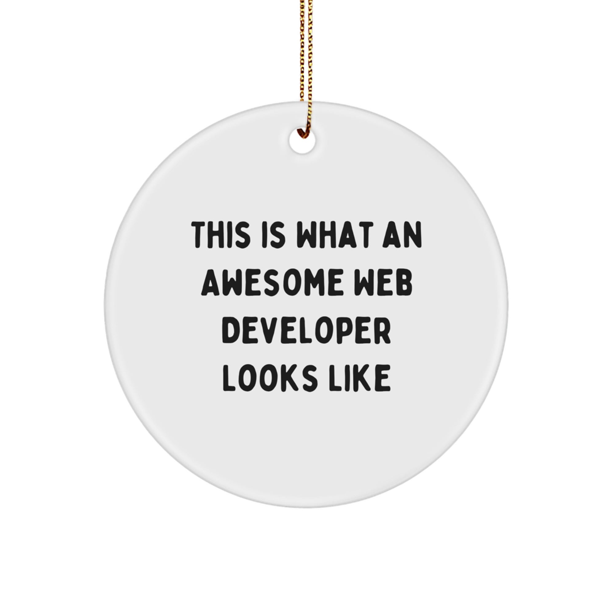 Funny Web Developer Gifts from Friends, Circle Ornament with This Is What An Awesome Web Developer Looks Like Quote for Christmas