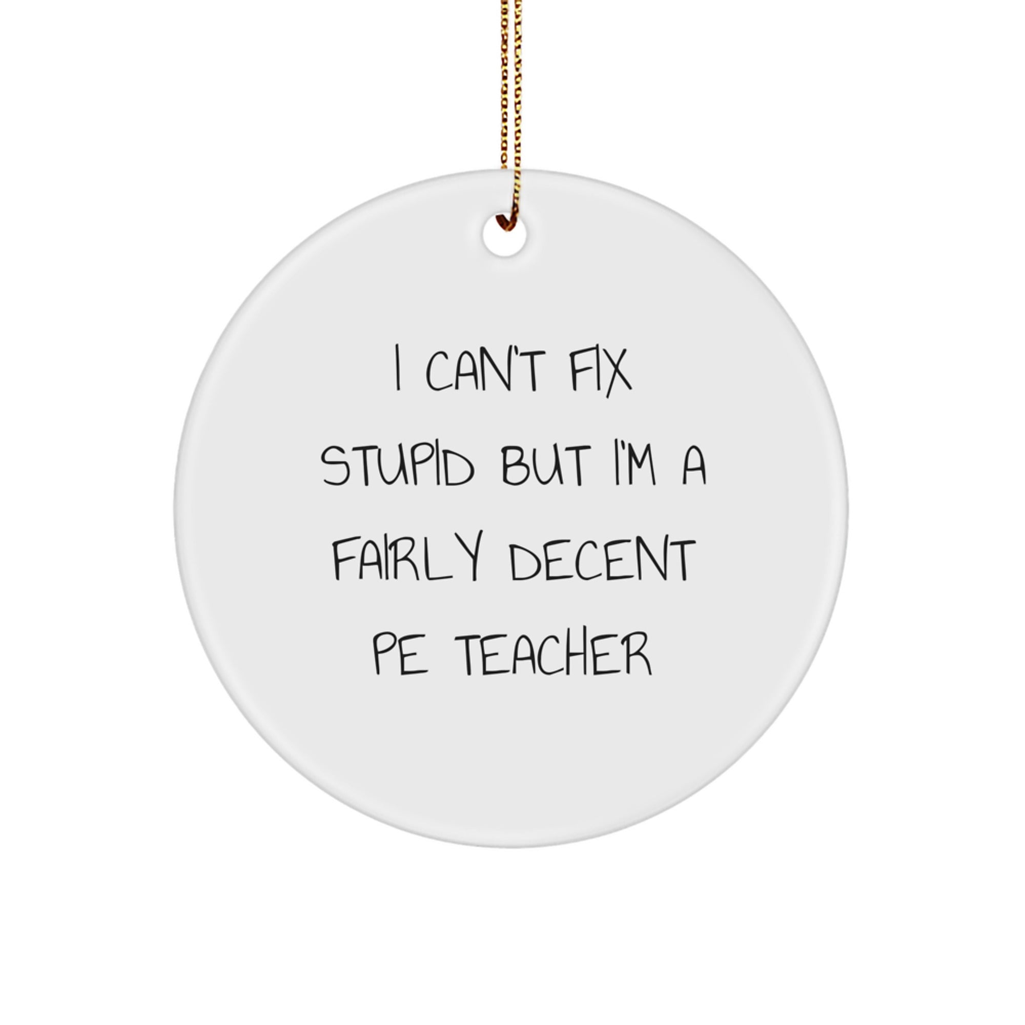 'Funny PE Teacher Gifts' for Men - 'I Can't Fix Stupid', Christmas Unique Circle Ornaments for PE Teacher Friends, Family