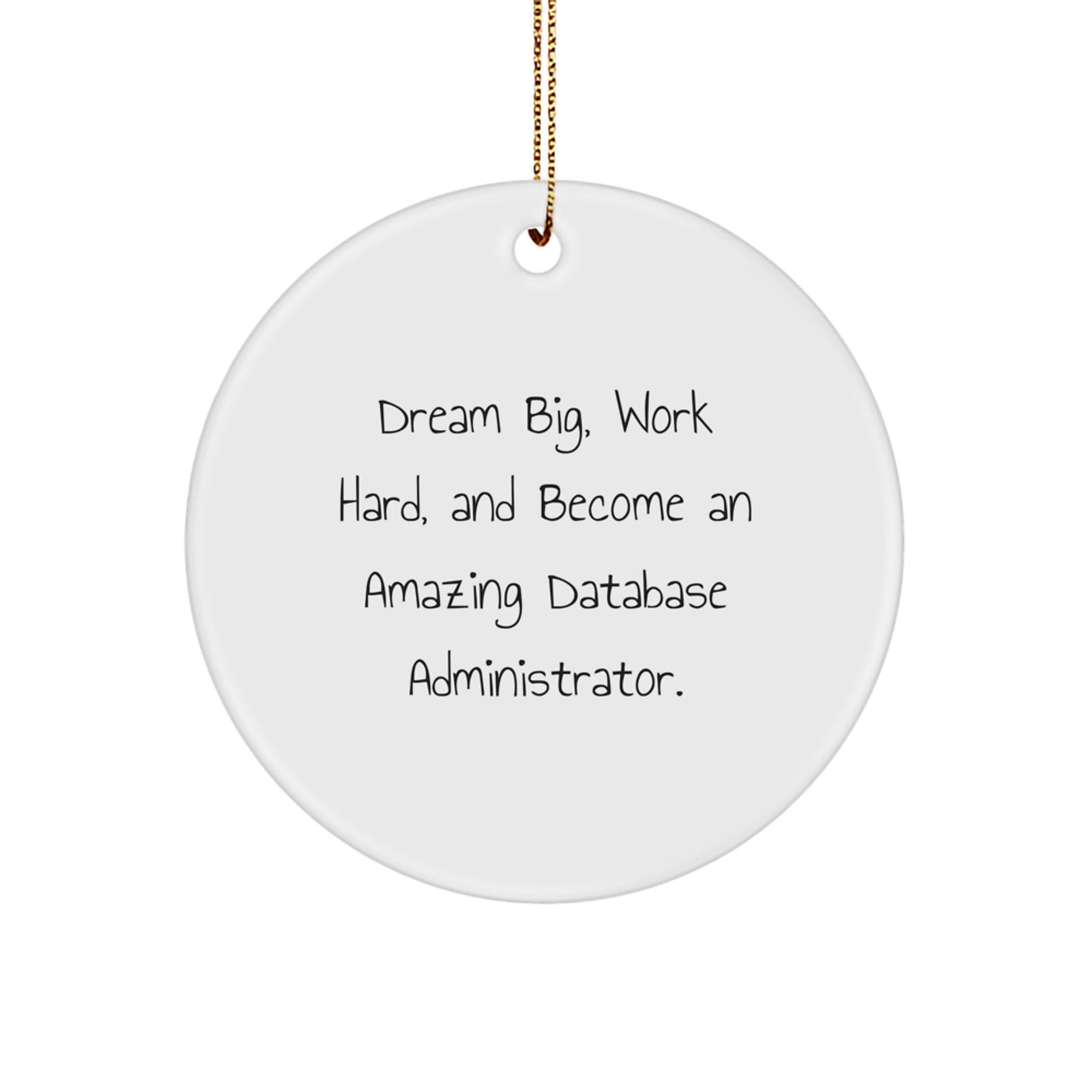Funny Inspirational Gifts for Database Administrators, Christmas Unique Circle Ornaments, 'Dream Big Work Hard' Quote from Friends, Family, Coworkers or for Yourself.