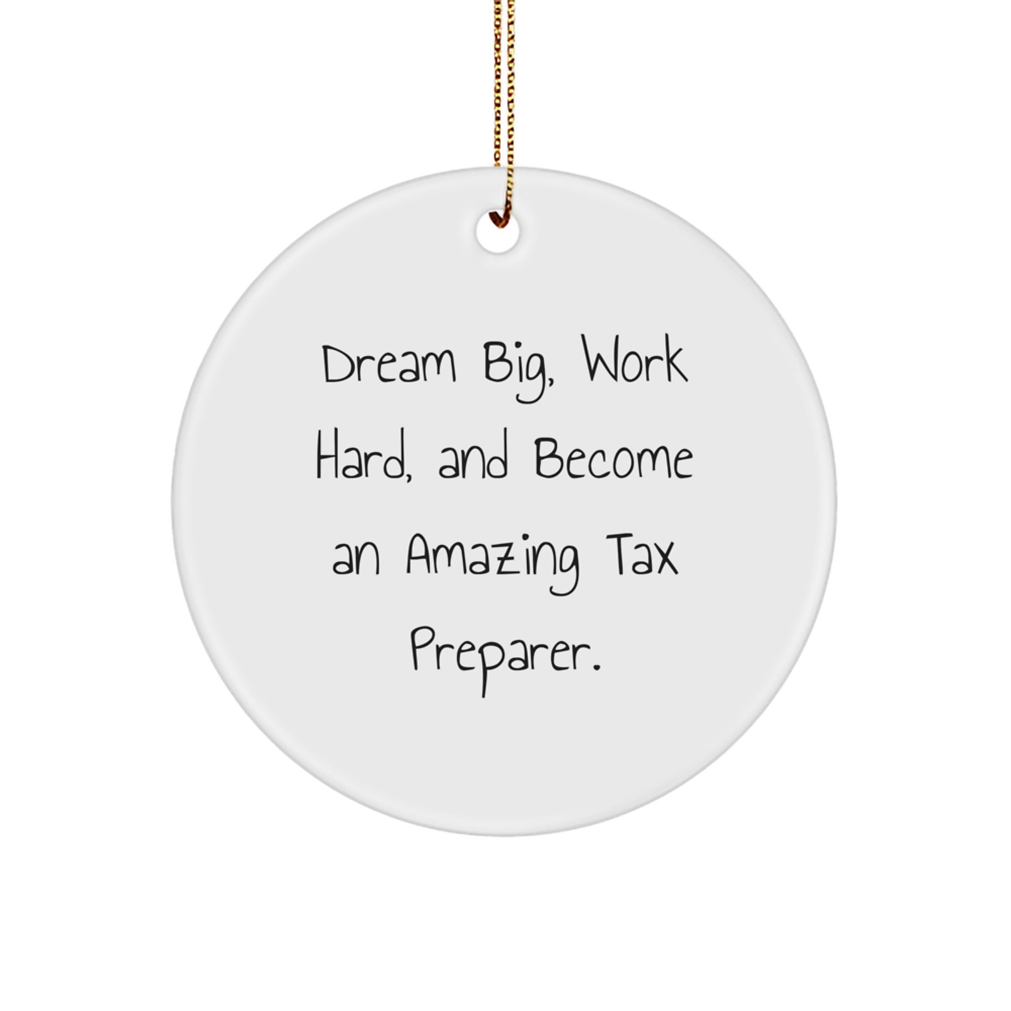 Funny Tax Preparer Gifts, Inspirational Circle Ornament for Office, Dream Big Quote, Gifts from Friends to Tax Preparer Coworkers, Christmas Unique Gifts