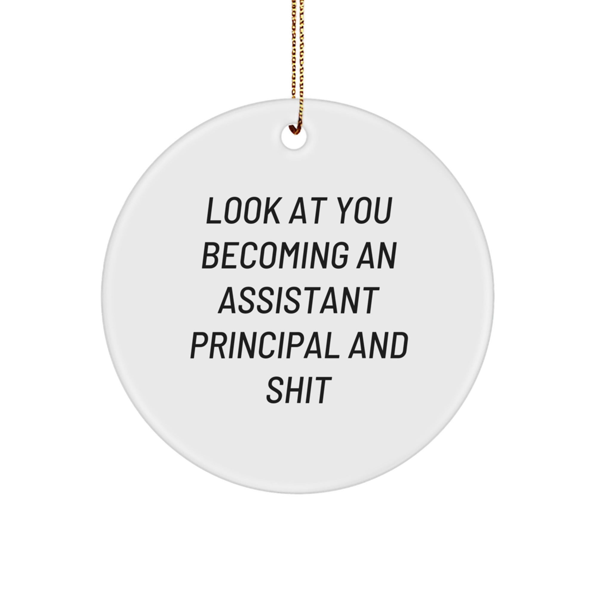 Funny Assistant Principal Gifts for Christmas, Circle Ornament, Look At You Becoming An Assistant Principal And Shit, Gifts from Men to Friends, Family for Assistant Principals