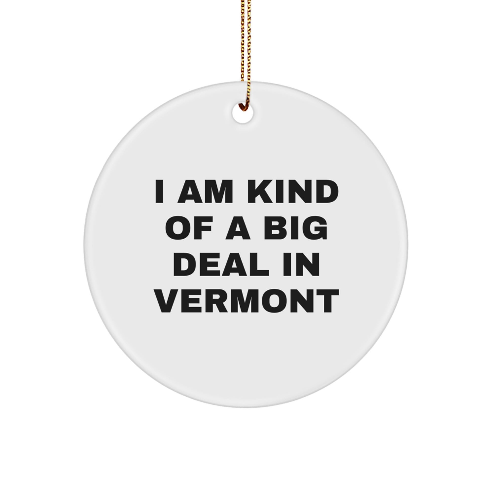 Vermont Christmas Ornament Gift A Whimsical Keepsake, I Am Kind Of A Big