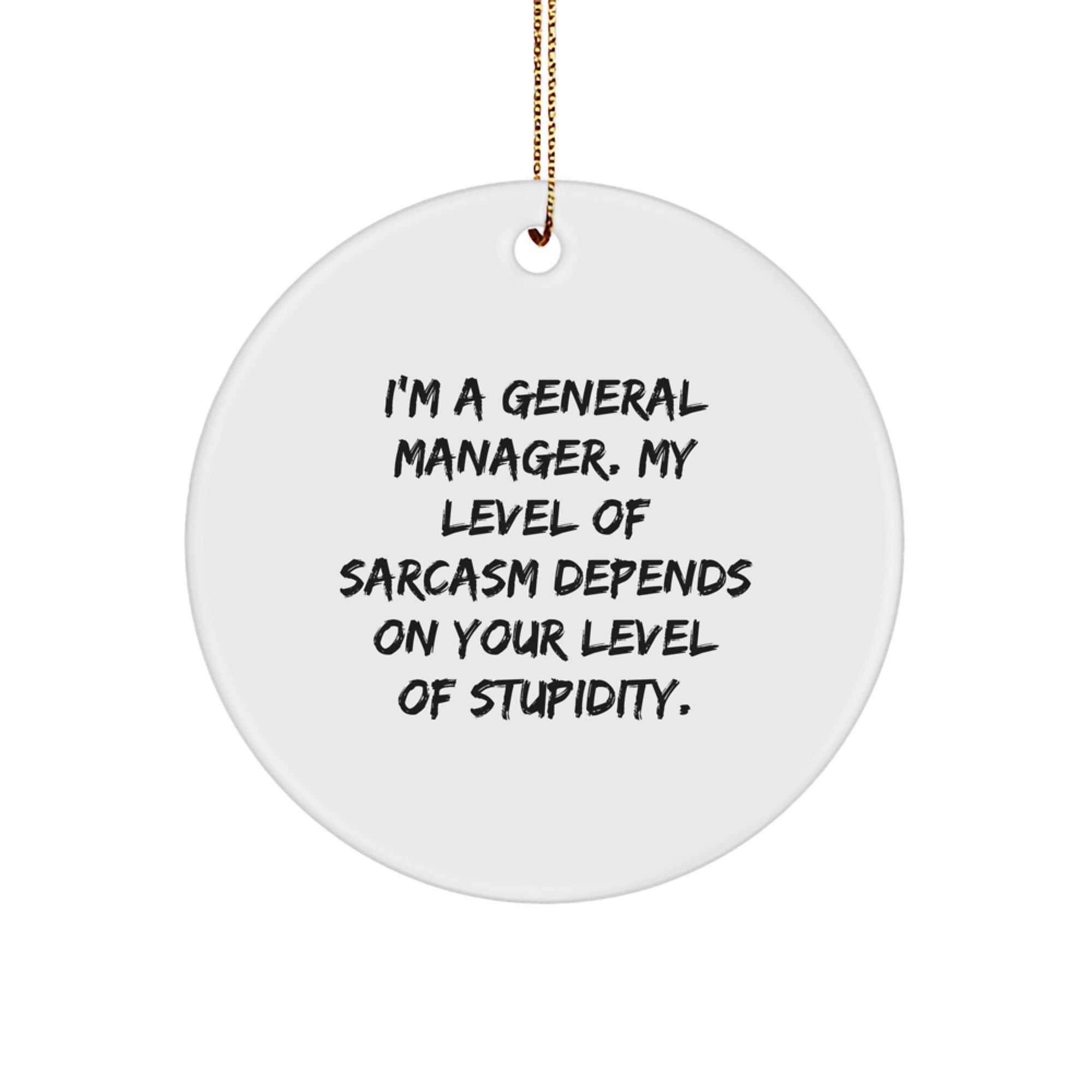 Funny General Manager Gifts from Friends, Christmas Unique Circle Ornament for Men, Sarcastic Quote Lover, General Manager, General Manager Office Decor