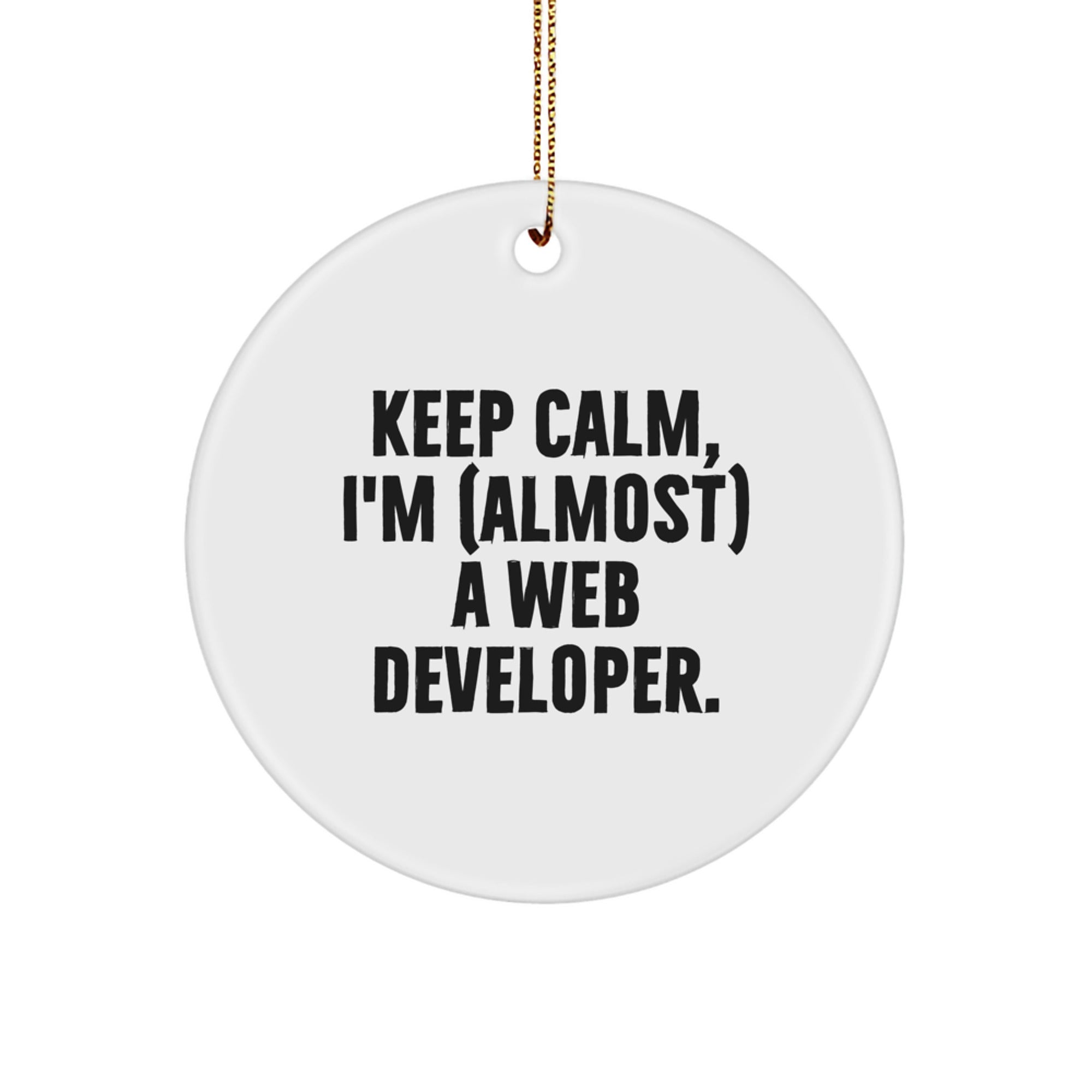 Funny Web Developer Gifts for Men Christmas Unique Circle Ornaments from Friends, Funny Web Developer Quote, Web Developer Circle Ornament, Web Developer Christmas Unique Gifts