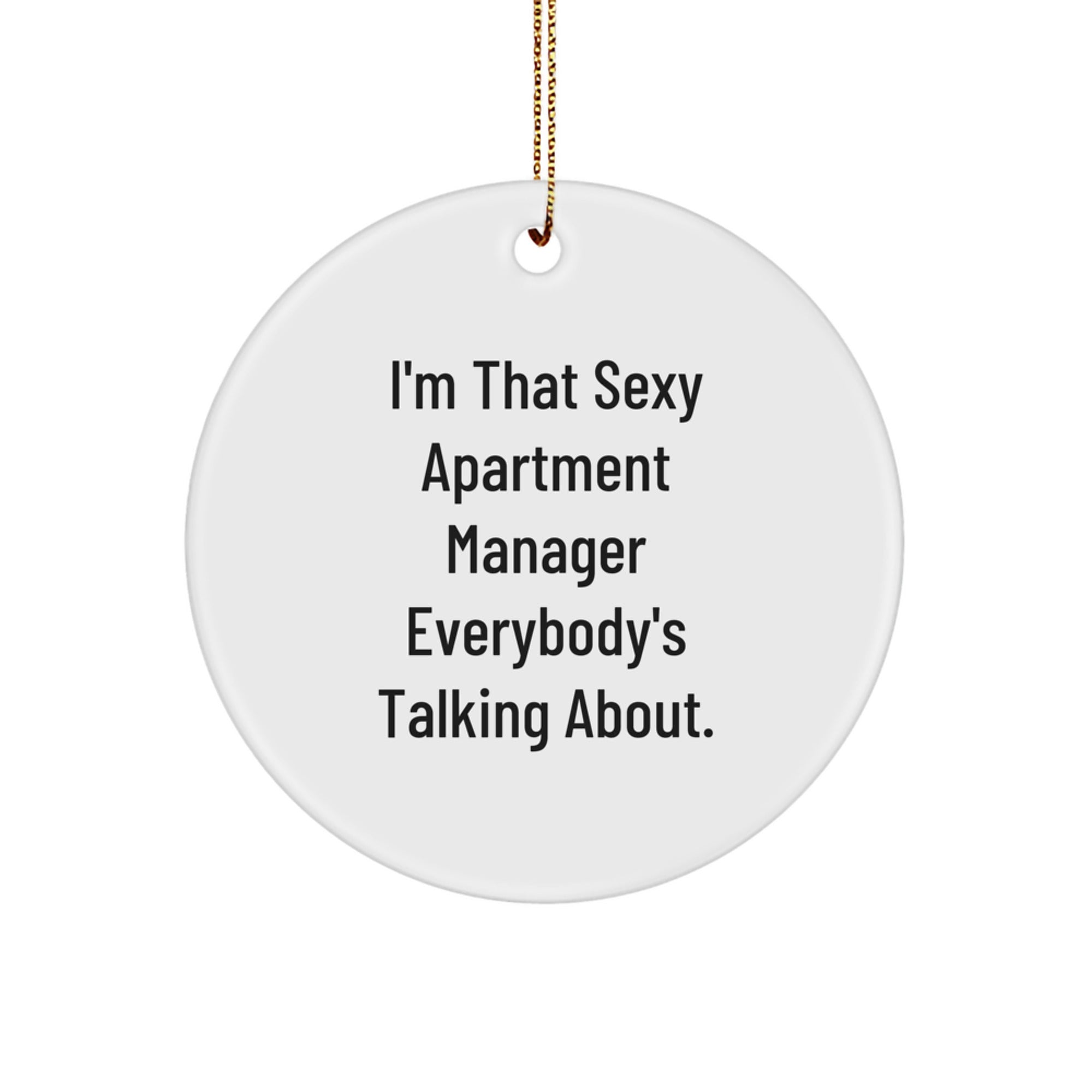 Sexy Apartment Manager Gifts from Friends and Family for Christmas Unique Ornament