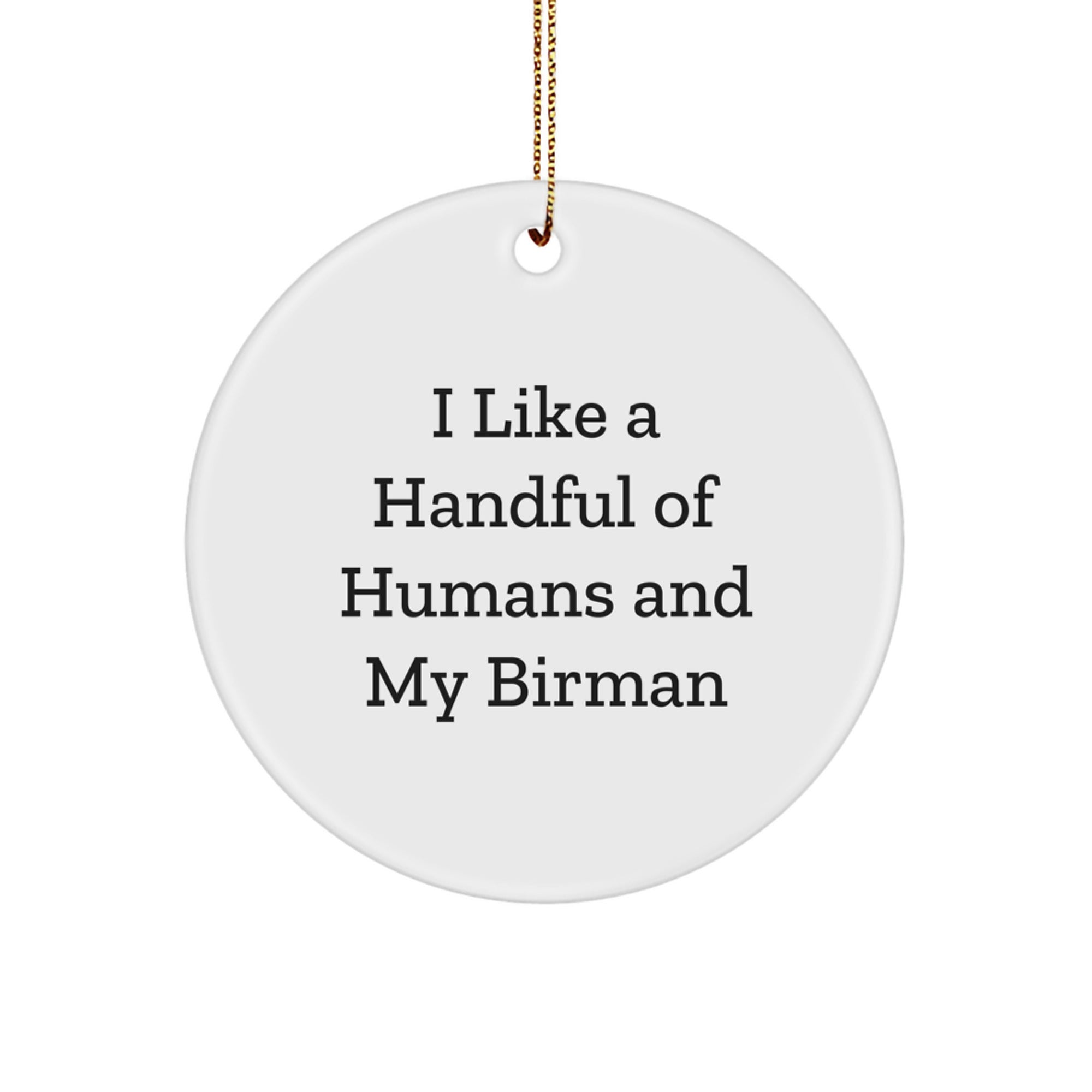 Funny Birman Cat Gifts for Christmas Unique - Circle Ornament from Friends