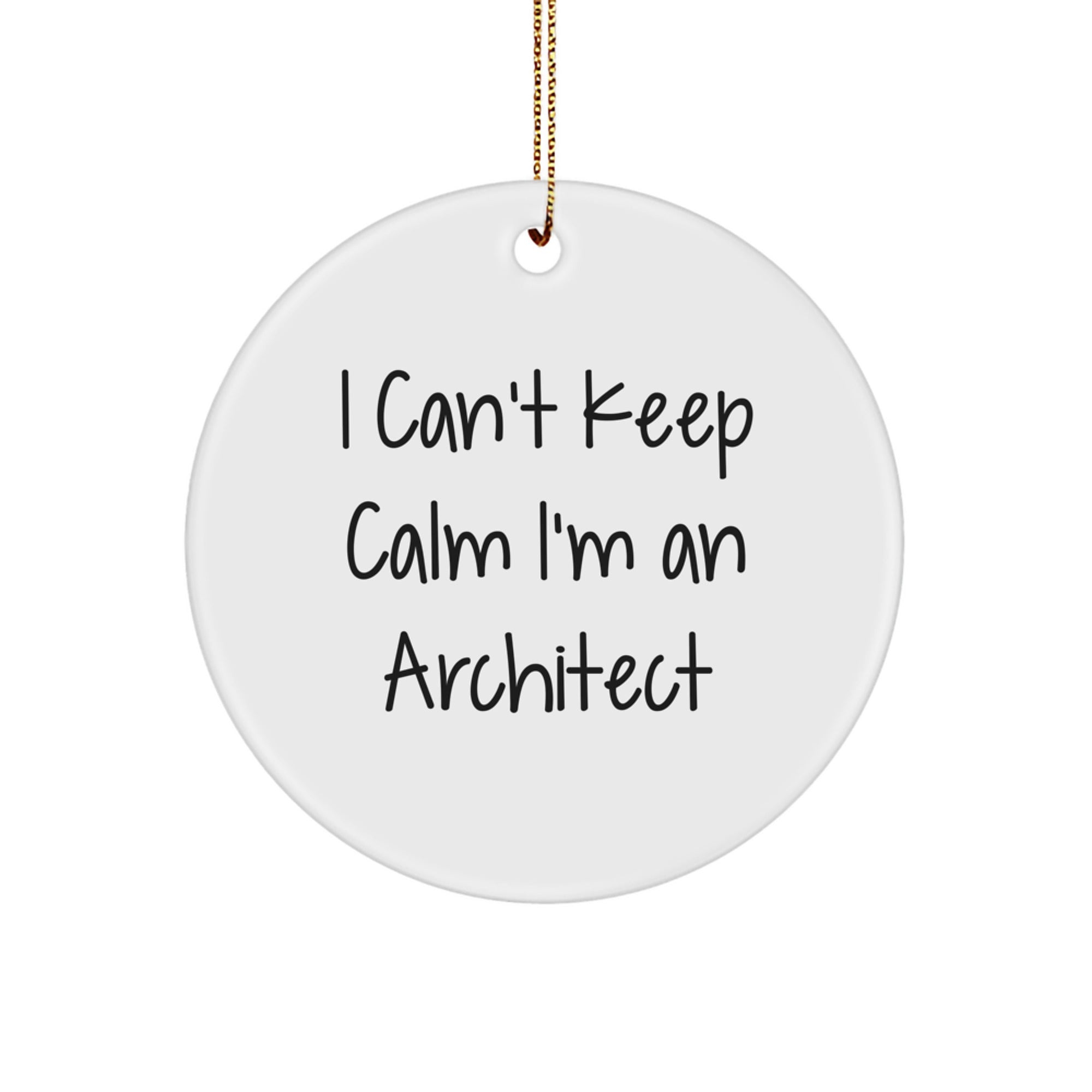 Funny 'I Can't Keep Calm I'm An Architect' Circle Ornament Gifts from Friends to Architect Men at Christmas Unique Gifts