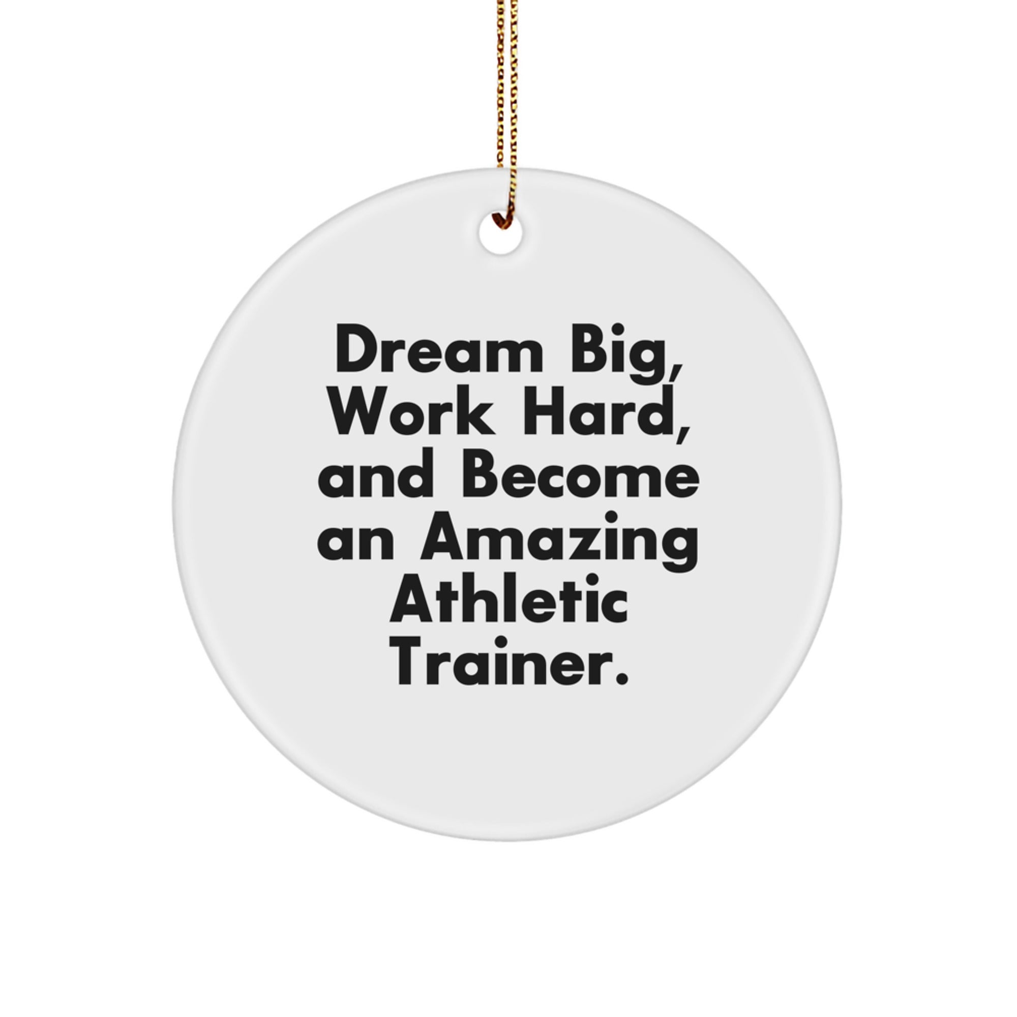 Funny Inspirational Gifts from Family for the Amazing Athletic Trainer, Dream Big, Work Hard Circle Ornament, Christmas Unique Presents