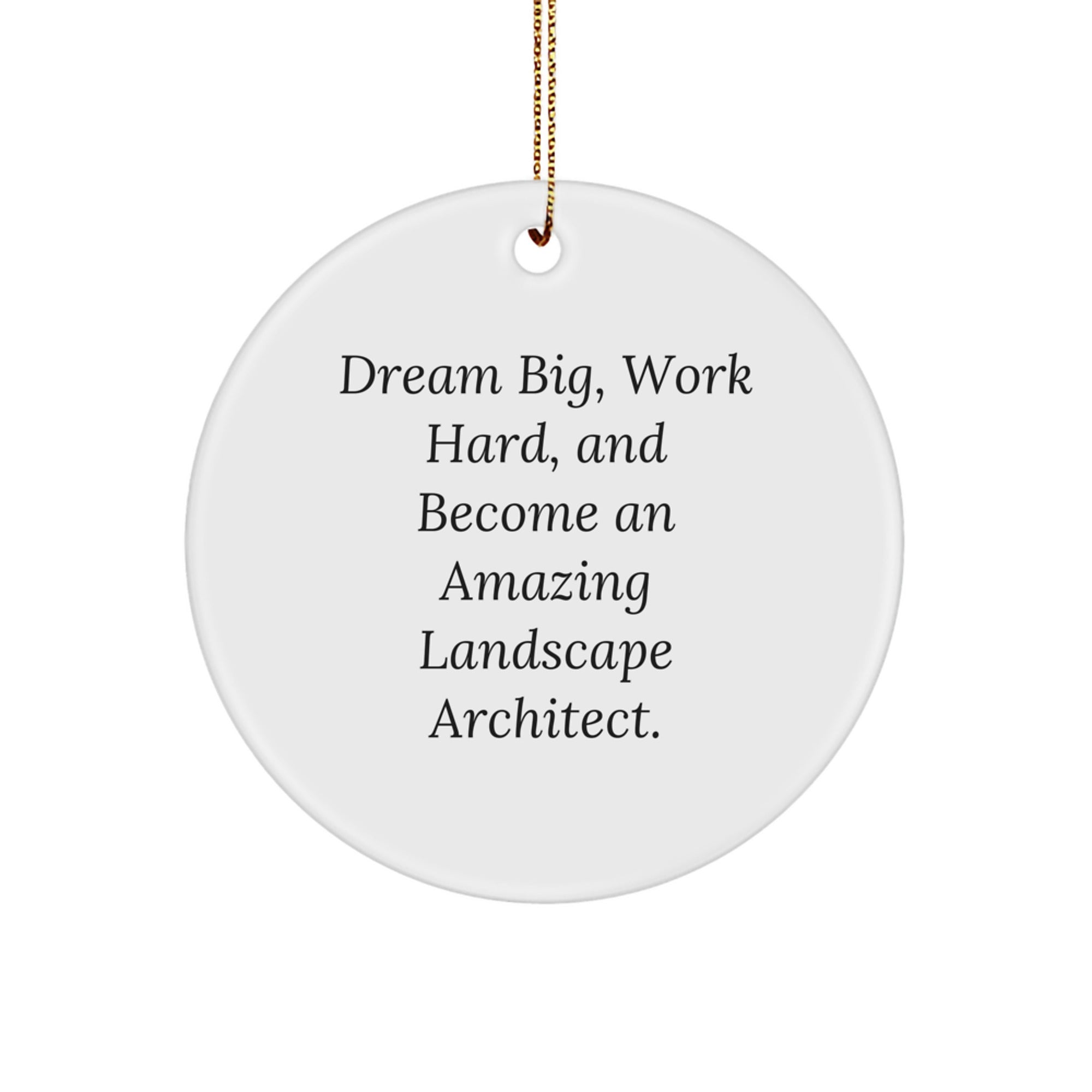 Landscape Architect Gifts from Friends for Men Inspirational Christmas Unique Ornaments with Quote 'Dream Big, Work Hard, And Become An Amazing Landscape Architect.'