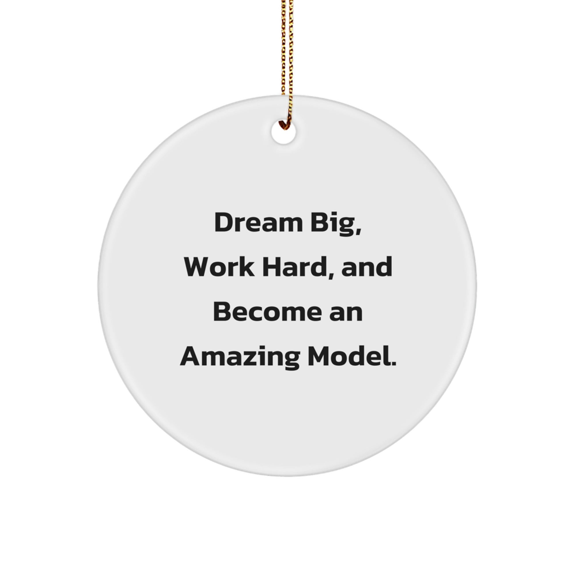Funny Model Christmas Circle Ornament Gifts from Friends - Dream Big Work Hard Become Amazing!