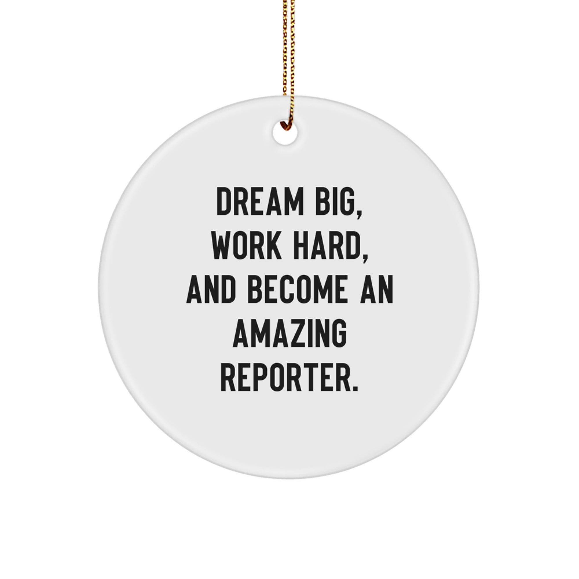 Gifts from Family for Reporter - Dream Big, Work Hard, Amazing Reporter Circle Ornament, Christmas Unique Decorations