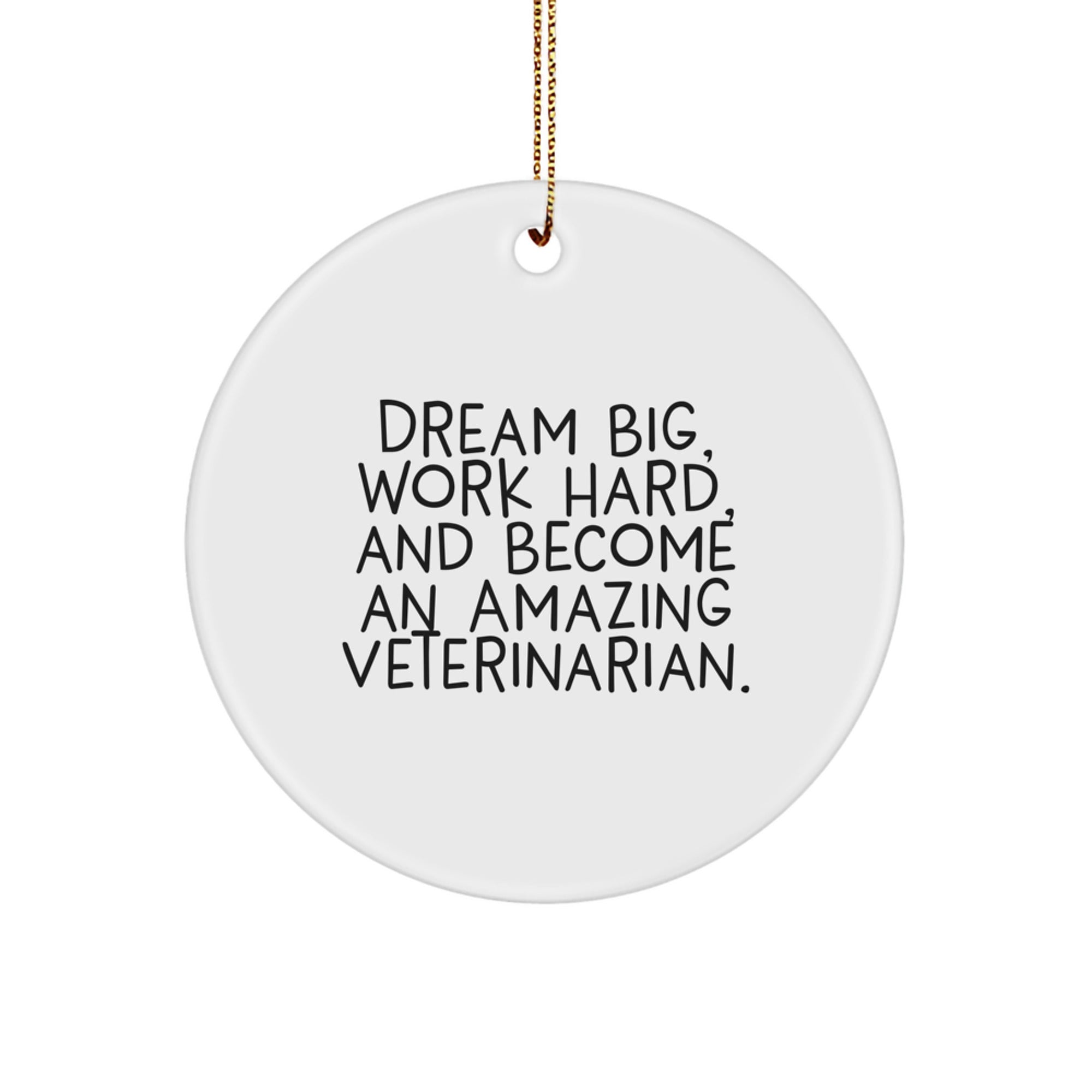 Funny Veterinarian Gifts, Circle Ornament - 'Dream Big, Work Hard, And Become An Amazing Veterinarian.' Gifts from Family for Veterinarian Christmas Unique Gifts