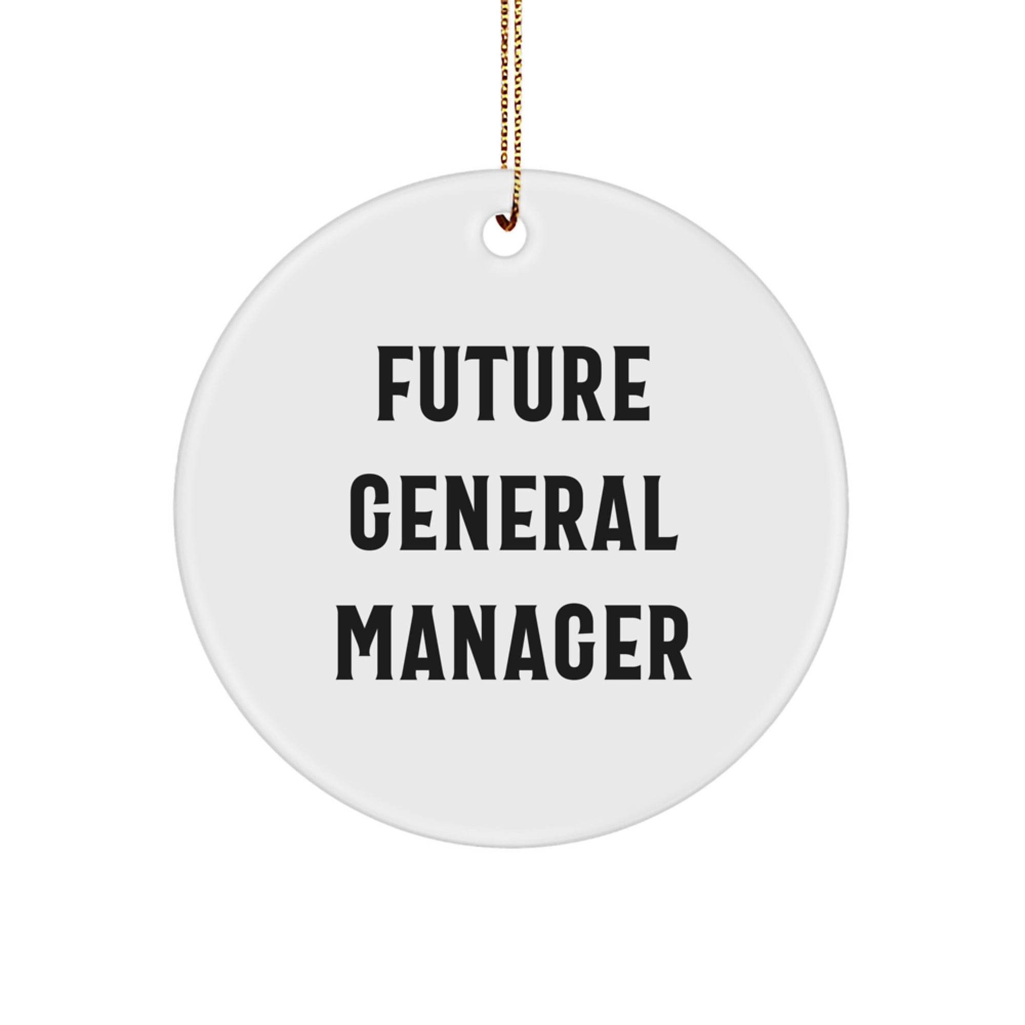 Funny Quotes for Future General Managers Gifts from Friends and Family - Circle Ornament, Christmas Unique Gifts