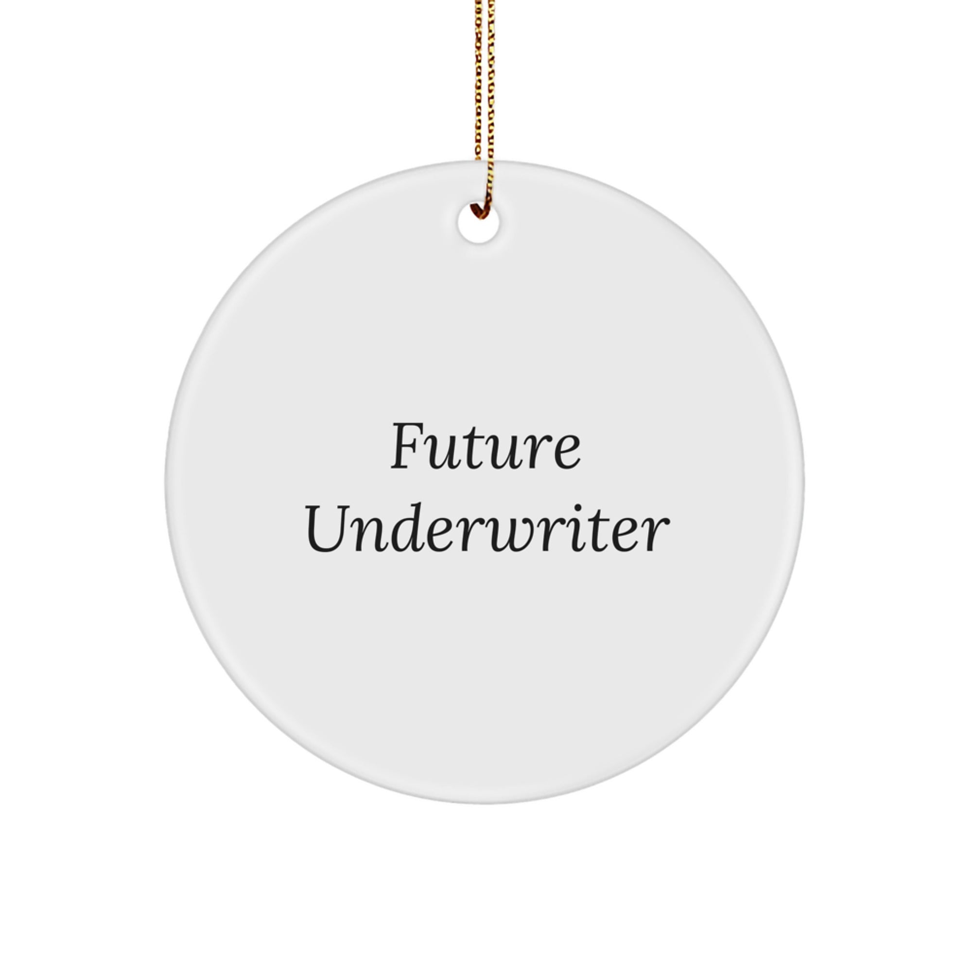Funny Quote Gifts from Future Underwriter to Family and Friends - Circle Ornament, Underwriter Gifts for Christmas