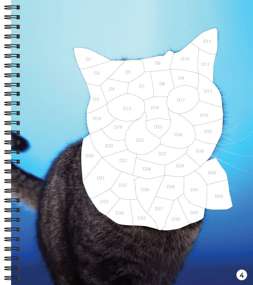 Brain Games - Sticker by Number: Cat-Itude (25 Images to Sticker)