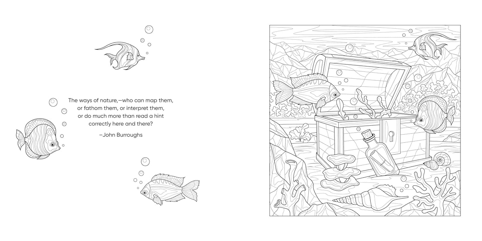 Color Me! (Beautiful Images of Hummingbirds, Flowers, Gardens, Butterflies, and More - with Quotes!) (Keepsake Coloring Books)