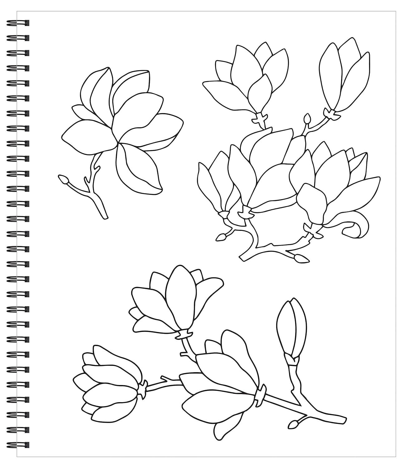 Large Print Easy Color & Frame - Calm (Stress Free Coloring Book)