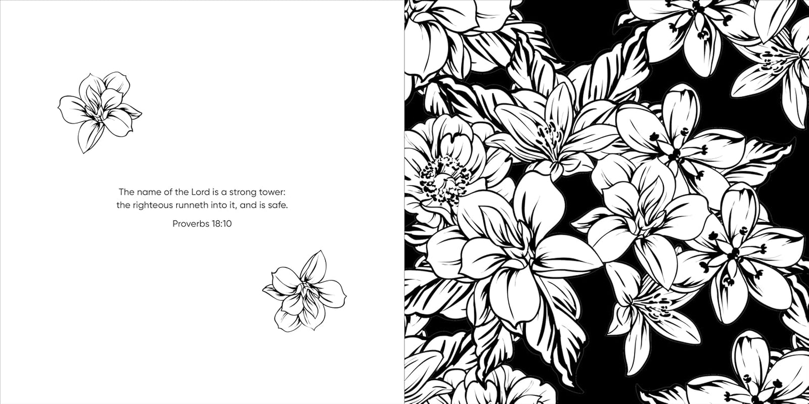 Color & Pray: Proverbs (Keepsake Coloring Books)