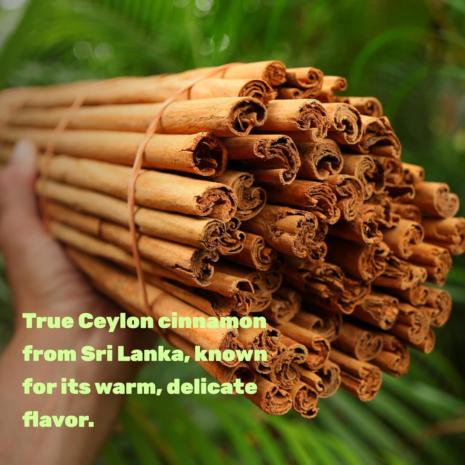 Organic Ceylon Cinnamon Powder, 12 Oz | Sri Lanka Source | Fine Ground True Ceylon Cinnamon (Cinnamomum Verum) | Smooth, Delicate Flavor for Coffee, Tea, Baking | Non-Gmo, Gluten Free