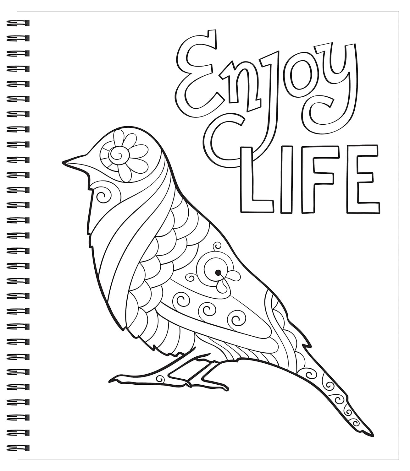 Large Print Easy Color & Frame - Calm (Stress Free Coloring Book)