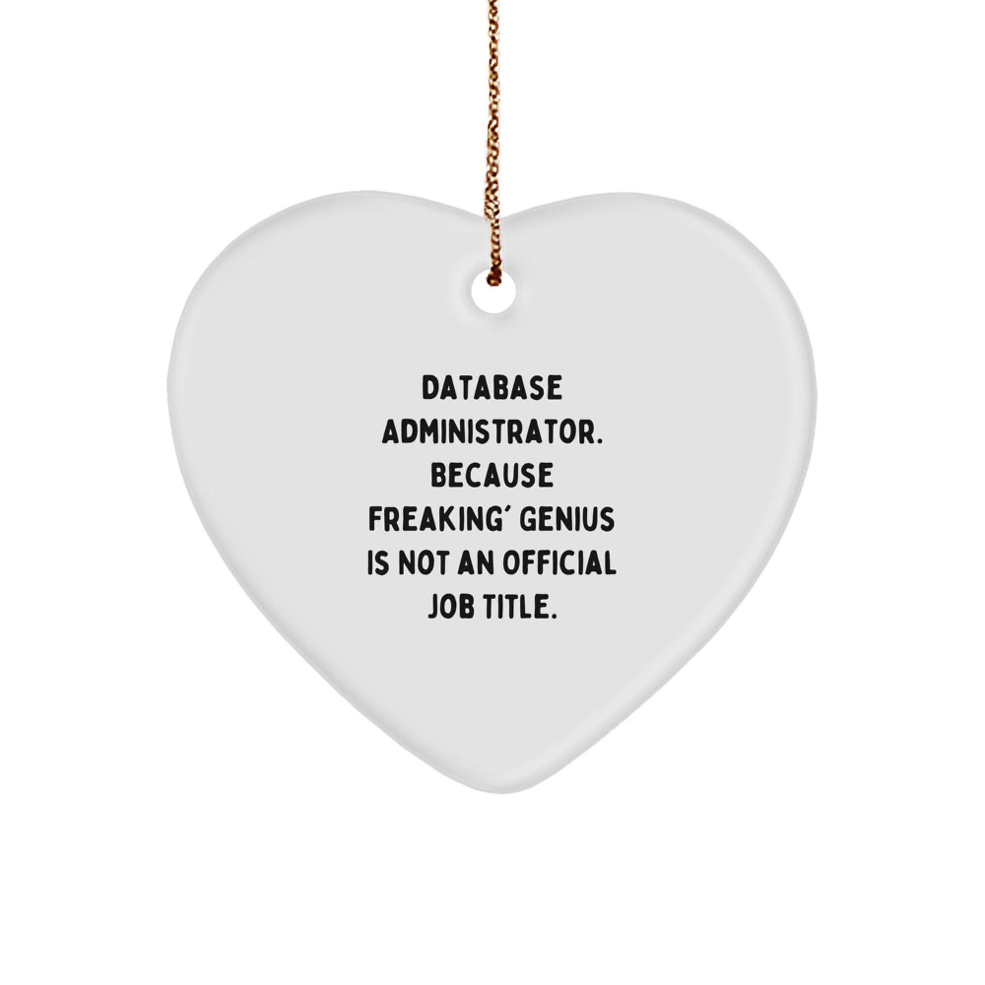Funny Database Administrator Heart Ornament Gifts from Friends to Database Administrator for Christmas Unique Presents