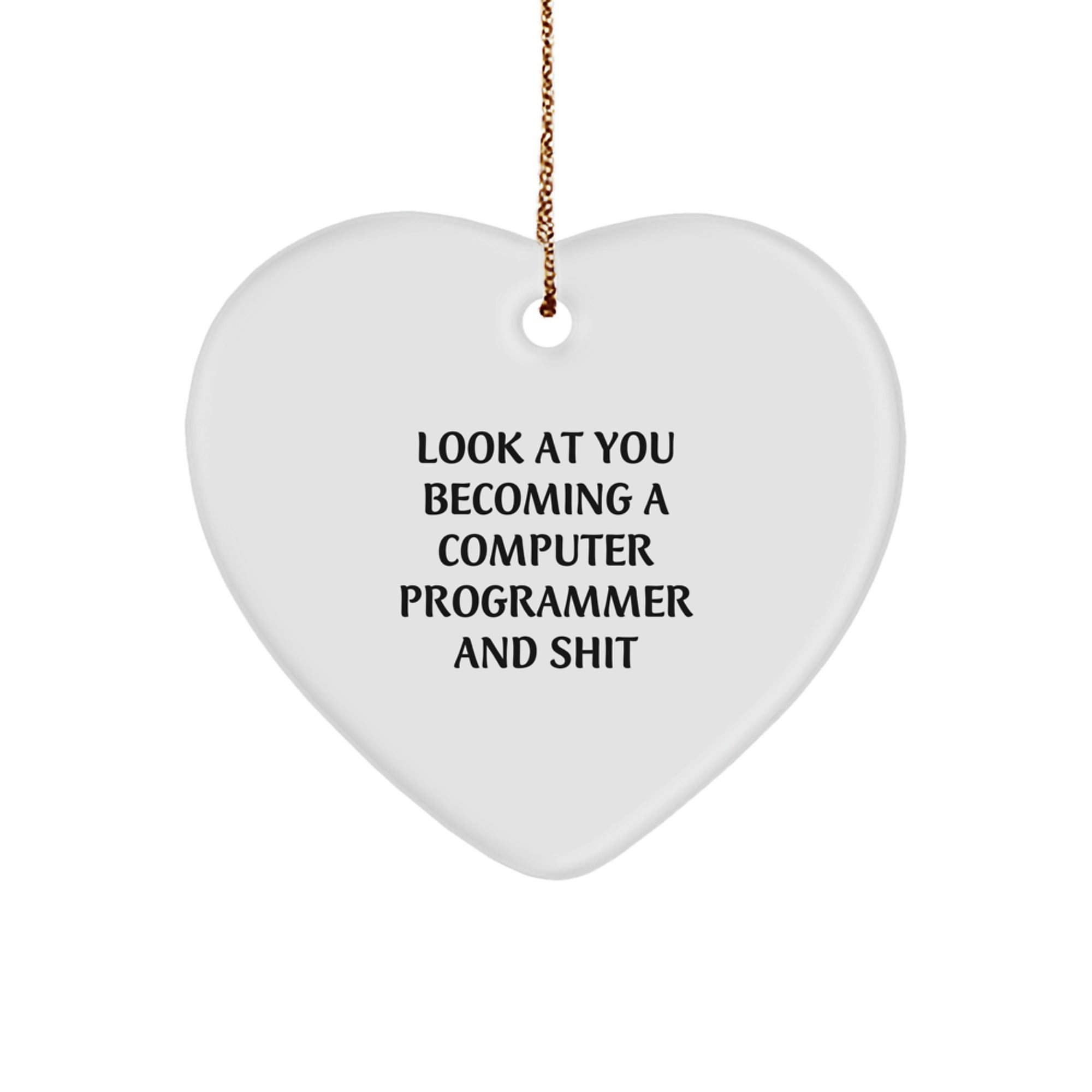 Funny Computer Programmer Heart Ornament Gifts from Friends to Computer Programmer Men and Women for Christmas Unique Presents