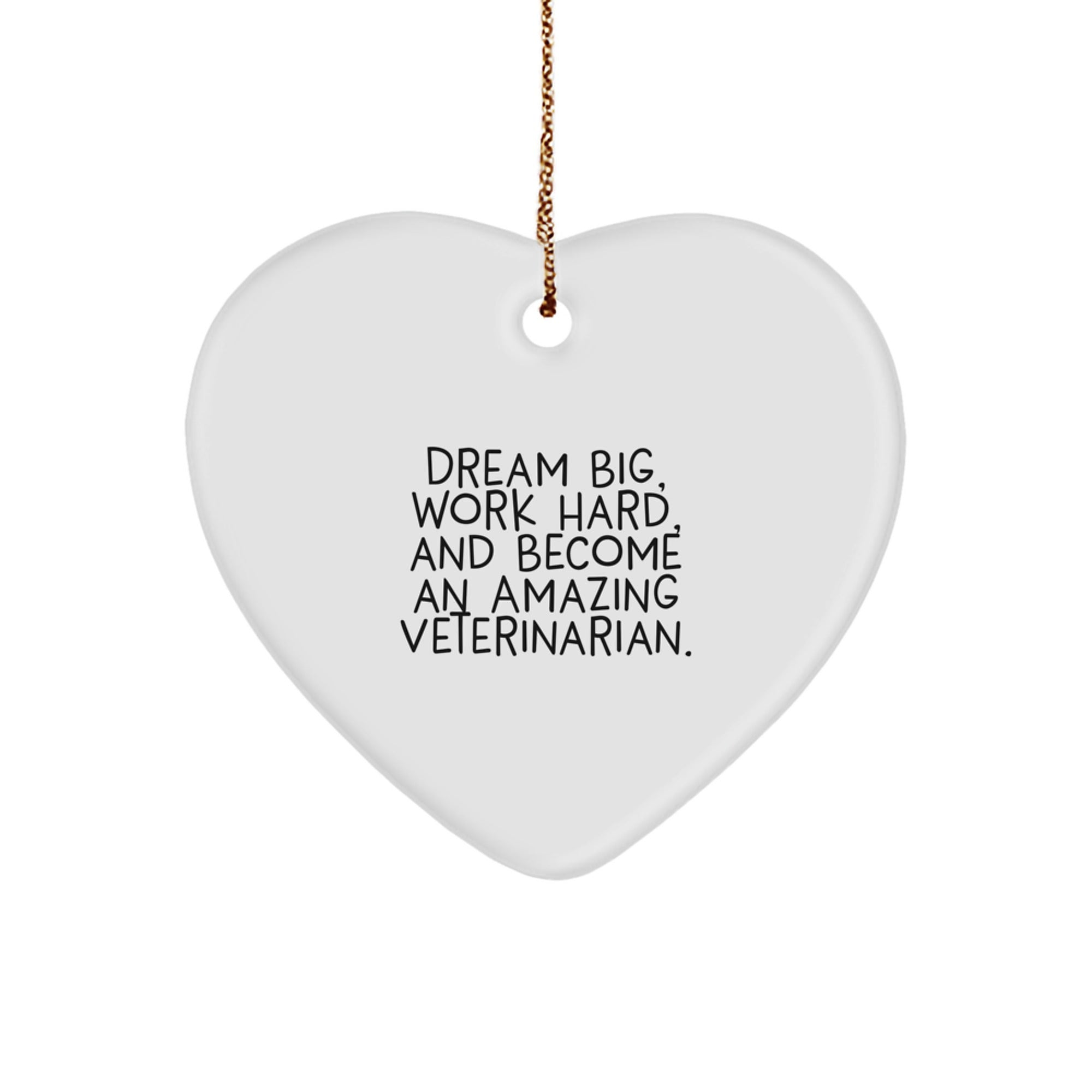 Funny Veterinarian Gifts from Men to Women, Heart Ornament for Christmas Unique Gifts, Dream Big, Work Hard, And Become An Amazing Veterinarian.