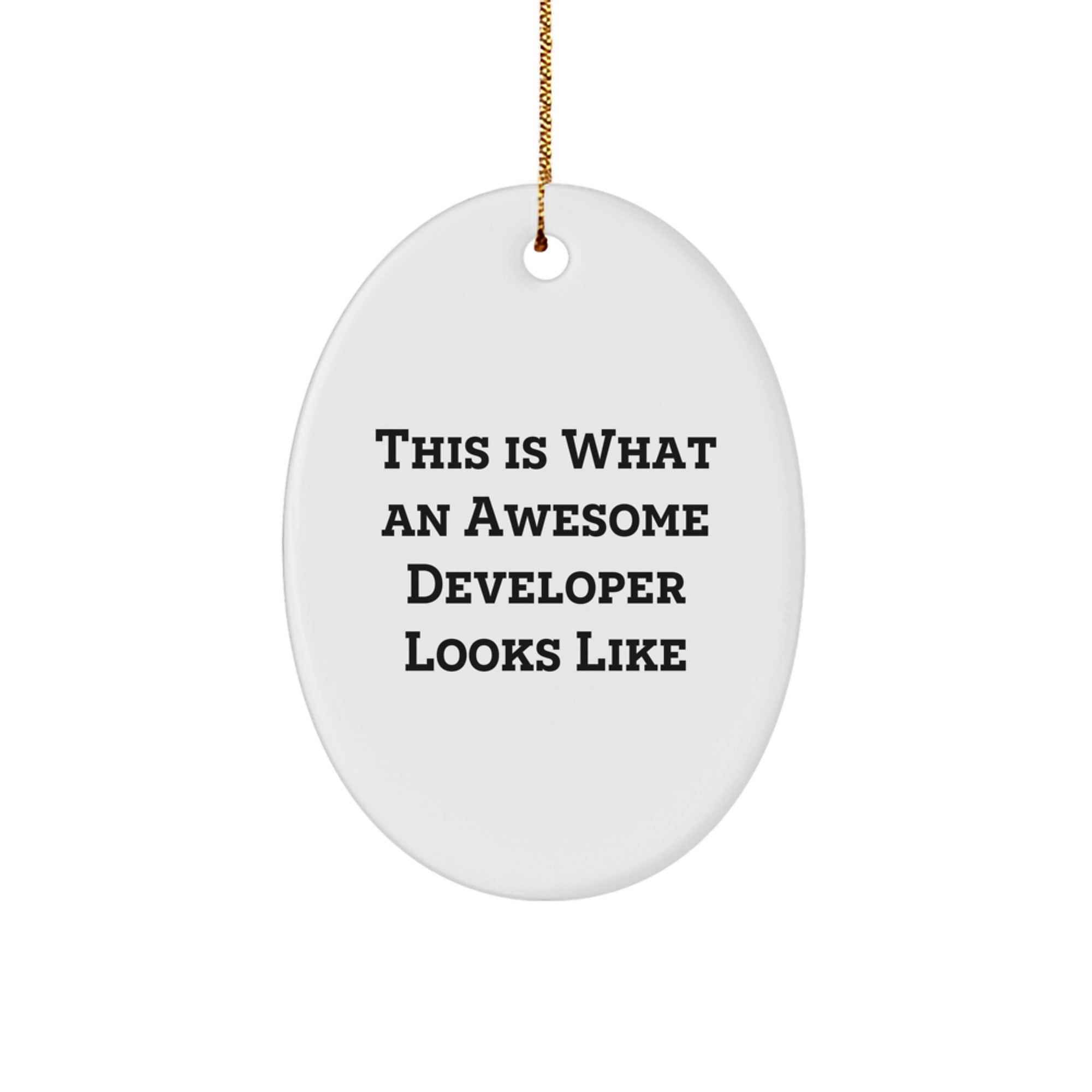 Funny Developer Oval Ornament Gifts from Friends and Family, Christmas Unique Gifts for Men and Women, 'This Is What An Awesome Developer Looks Like' Quote Oval Ornament