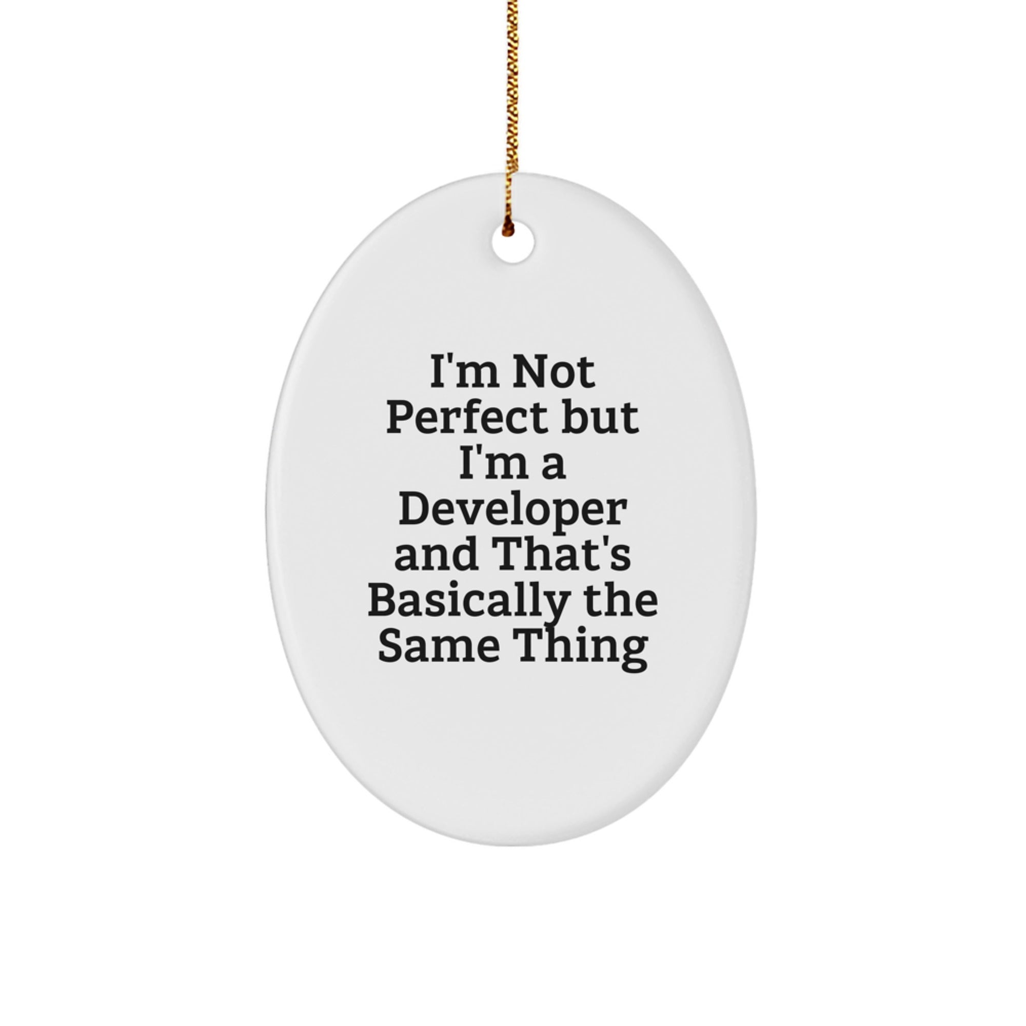 Developer Oval Ornament Funny Quote Gifts from Friends to Men or Women Coworkers for Christmas Unique Gifts