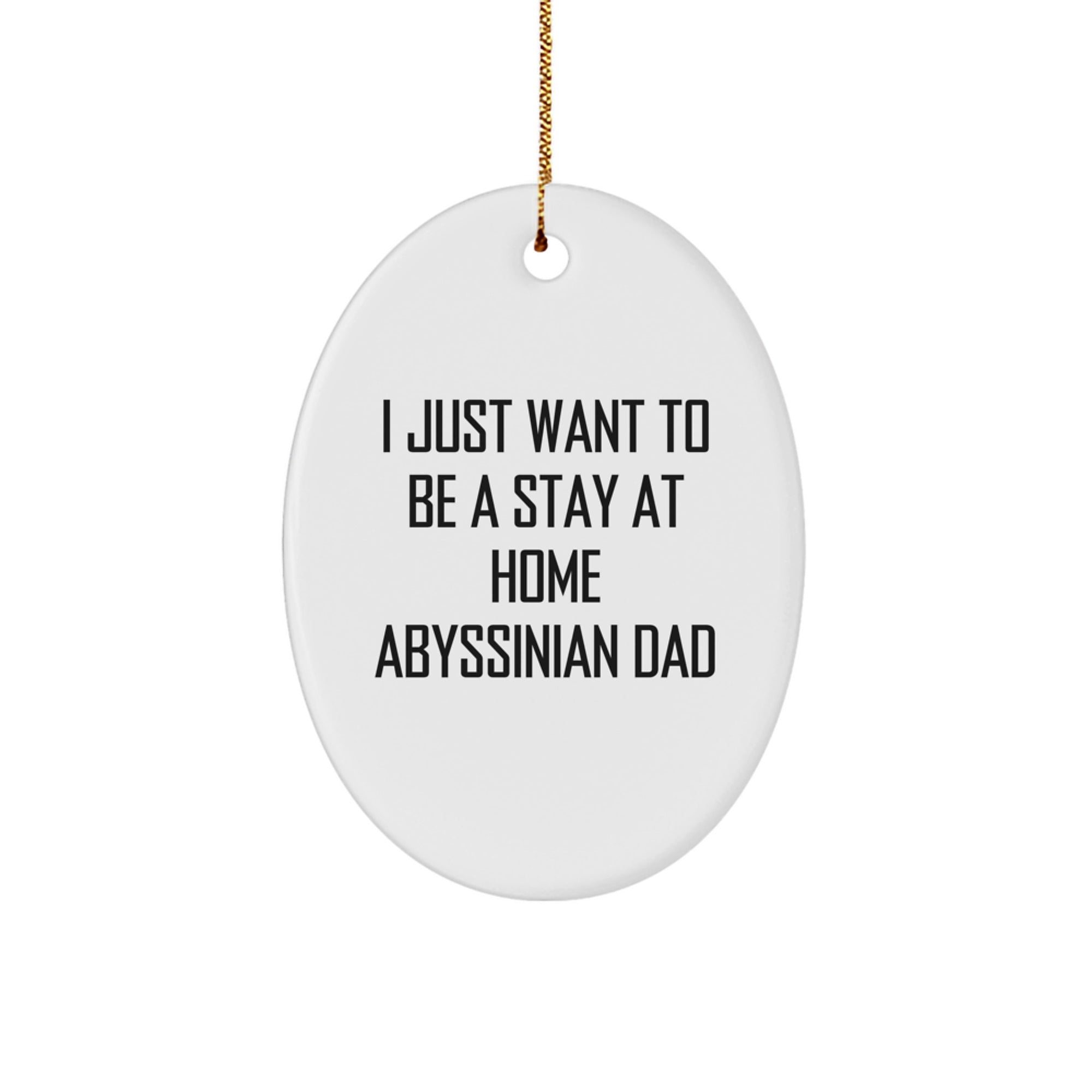 Abyssinian Cat Dad Christmas Unique Gifts Oval Ornament, Funny Quote 'I Just Want To Be A Stay At Home Abyssinian Dad', Gifts from Men to Family