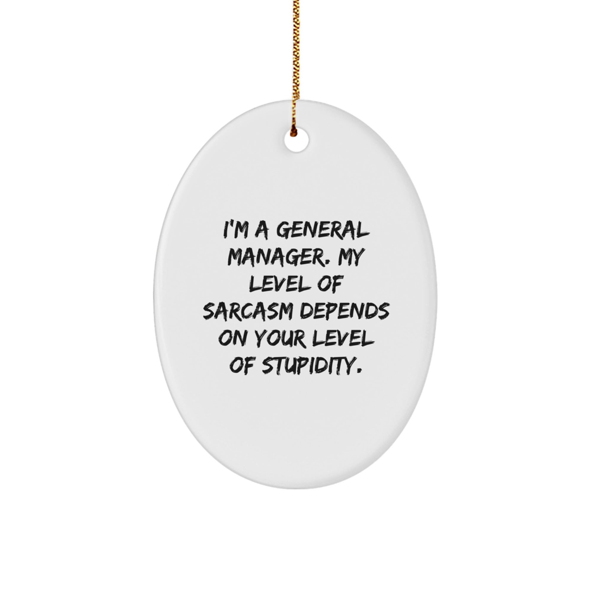 Funny Oval Ornament for General Manager, Christmas Unique Gifts from Friends, Inspirational Quote, Cute Oval Decoration