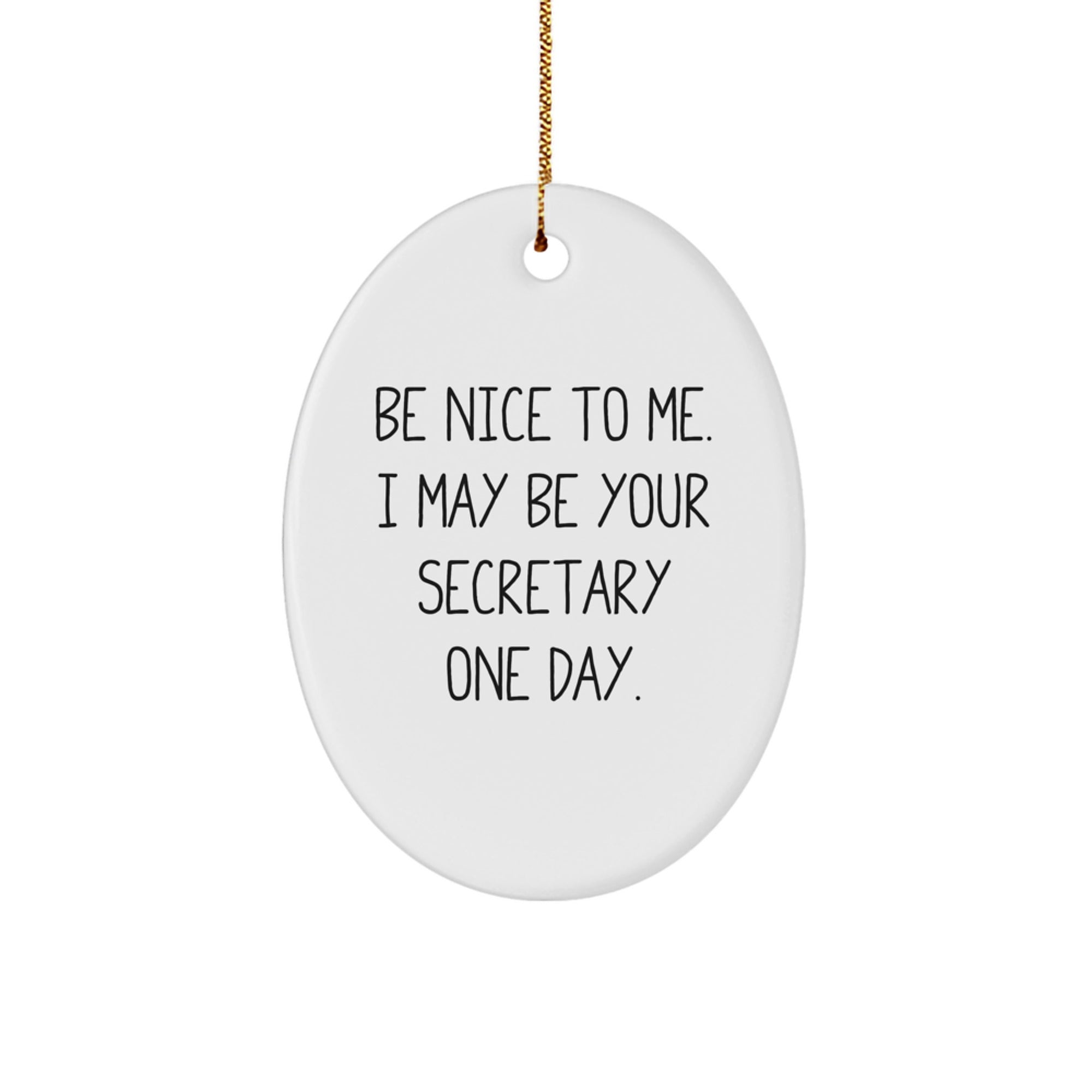 Funny Secretary Oval Ornament Gifts from Friends Men to Secretary for Christmas Unique Decorations