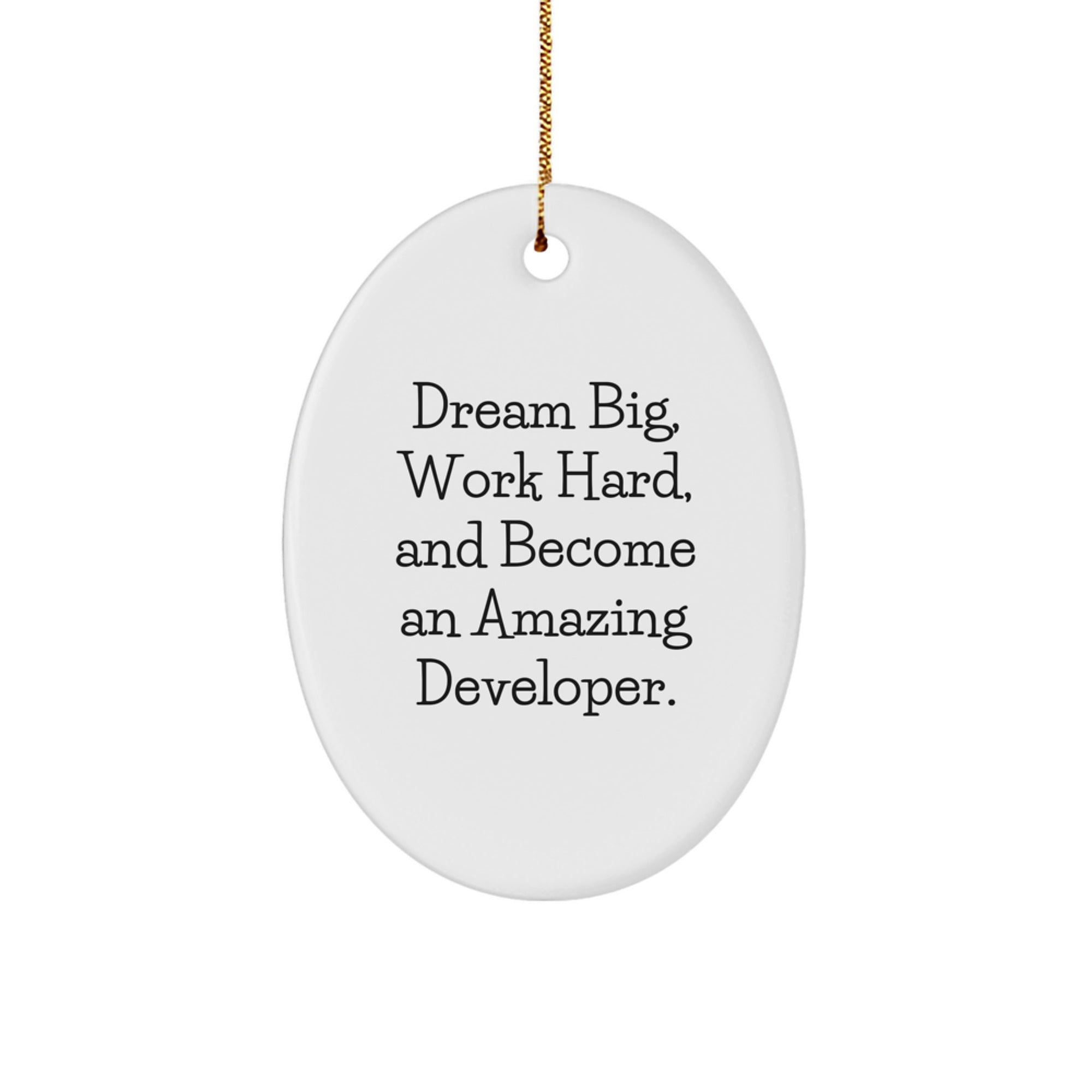 Developer Oval Ornament, Inspirational Gift from Friends, Gifts for Men and Women, Work Hard Quote, Oval Shaped Ornaments for Christmas