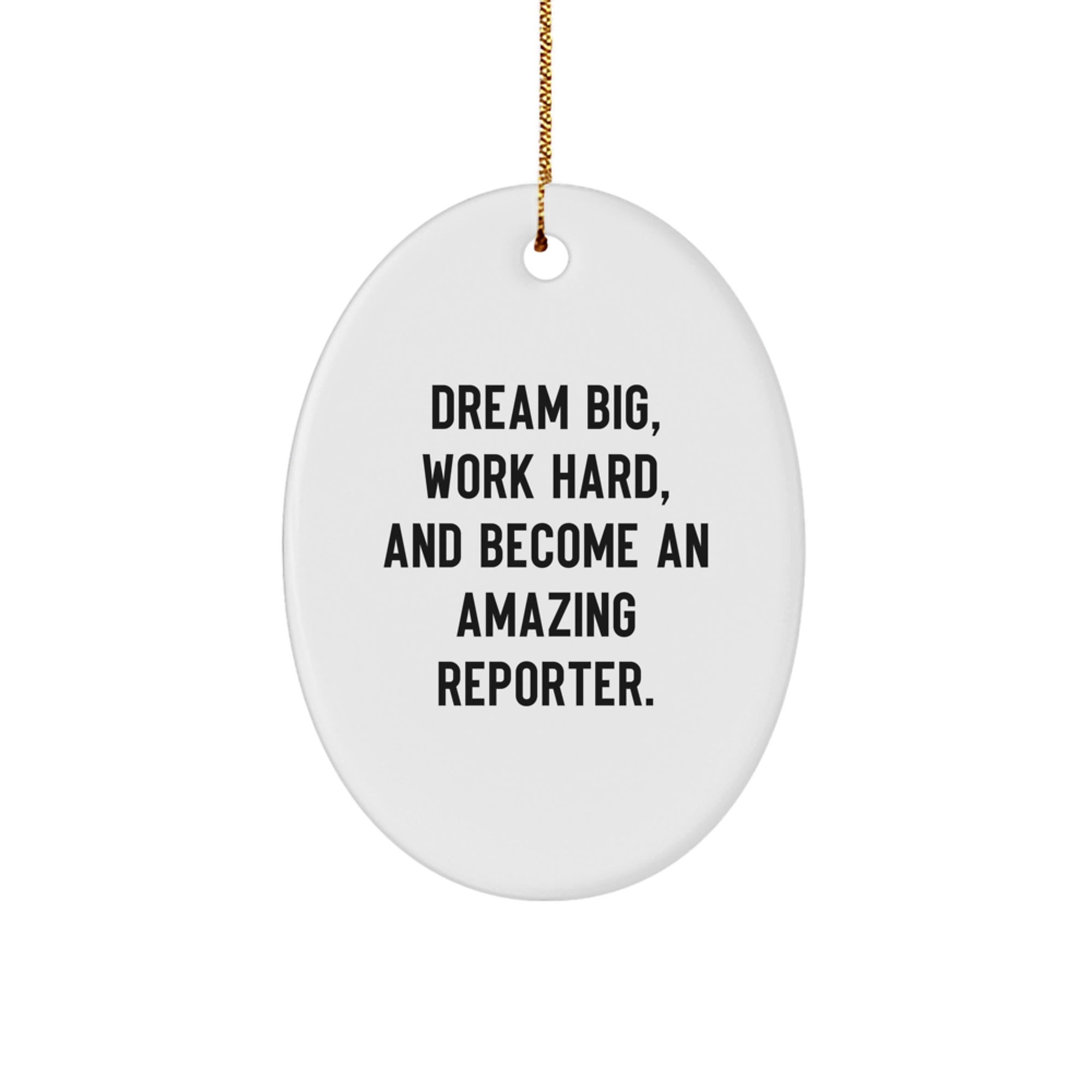 Funny Reporter Oval Ornament Gifts from Men to Family Friends - Dream Big Work Hard Become Amazing Reporter Christmas Unique Gifts