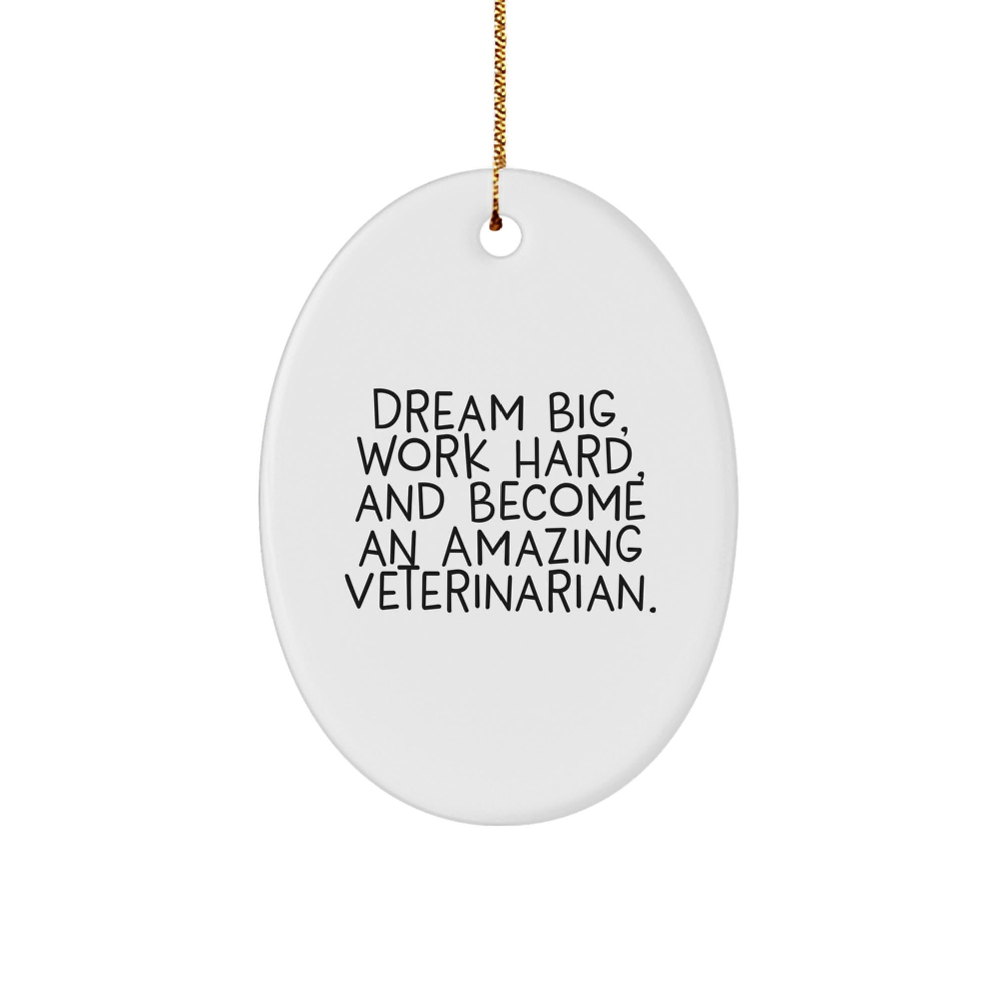 Inspiring Veterinarian Gifts for the Amazing Vet in Your Life, Dream Big and Work Hard Oval Ornament, Unique Christmas Decorations
